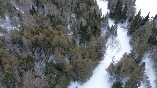 $39,900 | 0 Wilcox Road, Orient, ME 04471