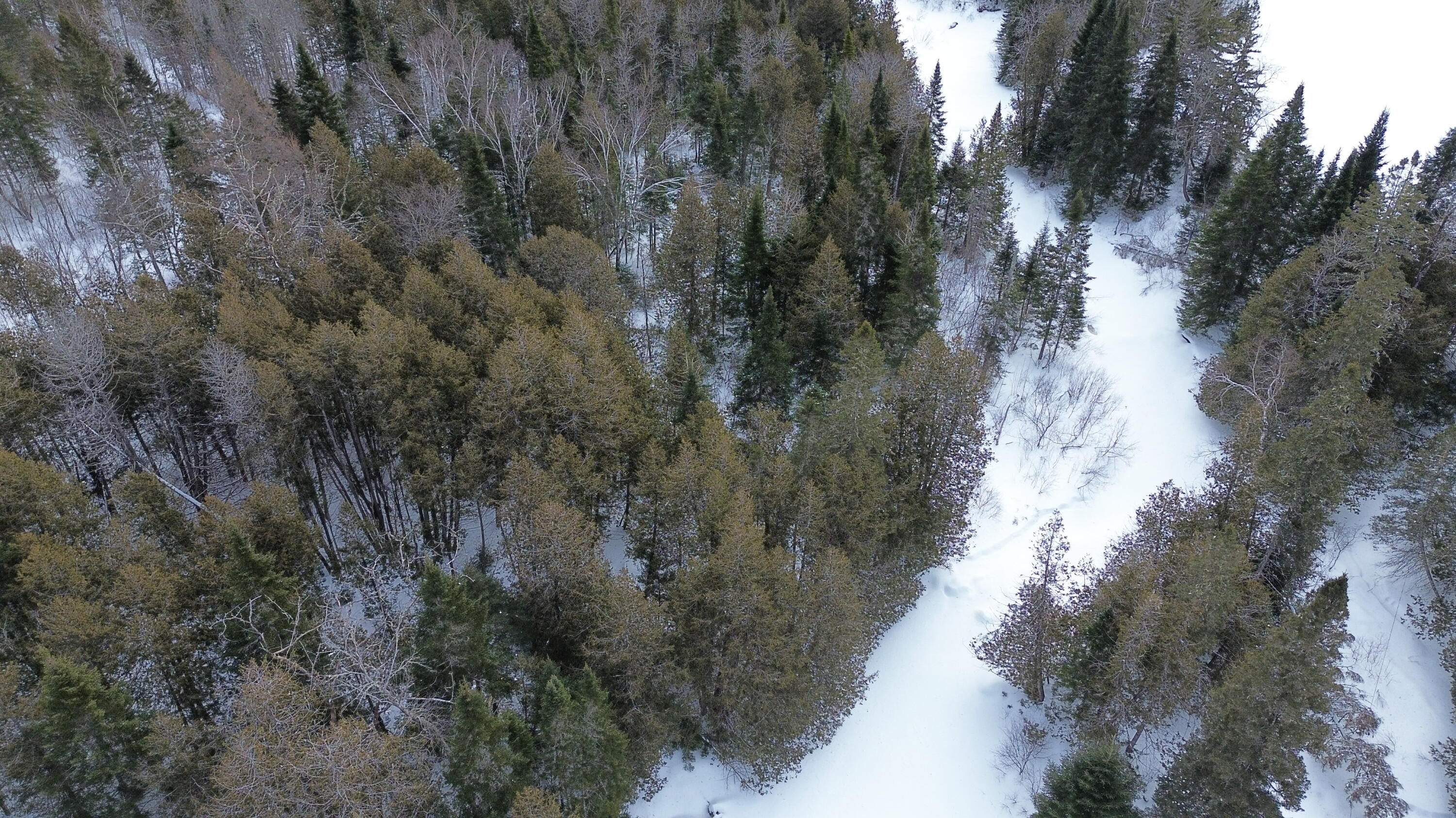 0 Wilcox Road Orient, ME 04471 - Photo 24 of 28 DJI_0106