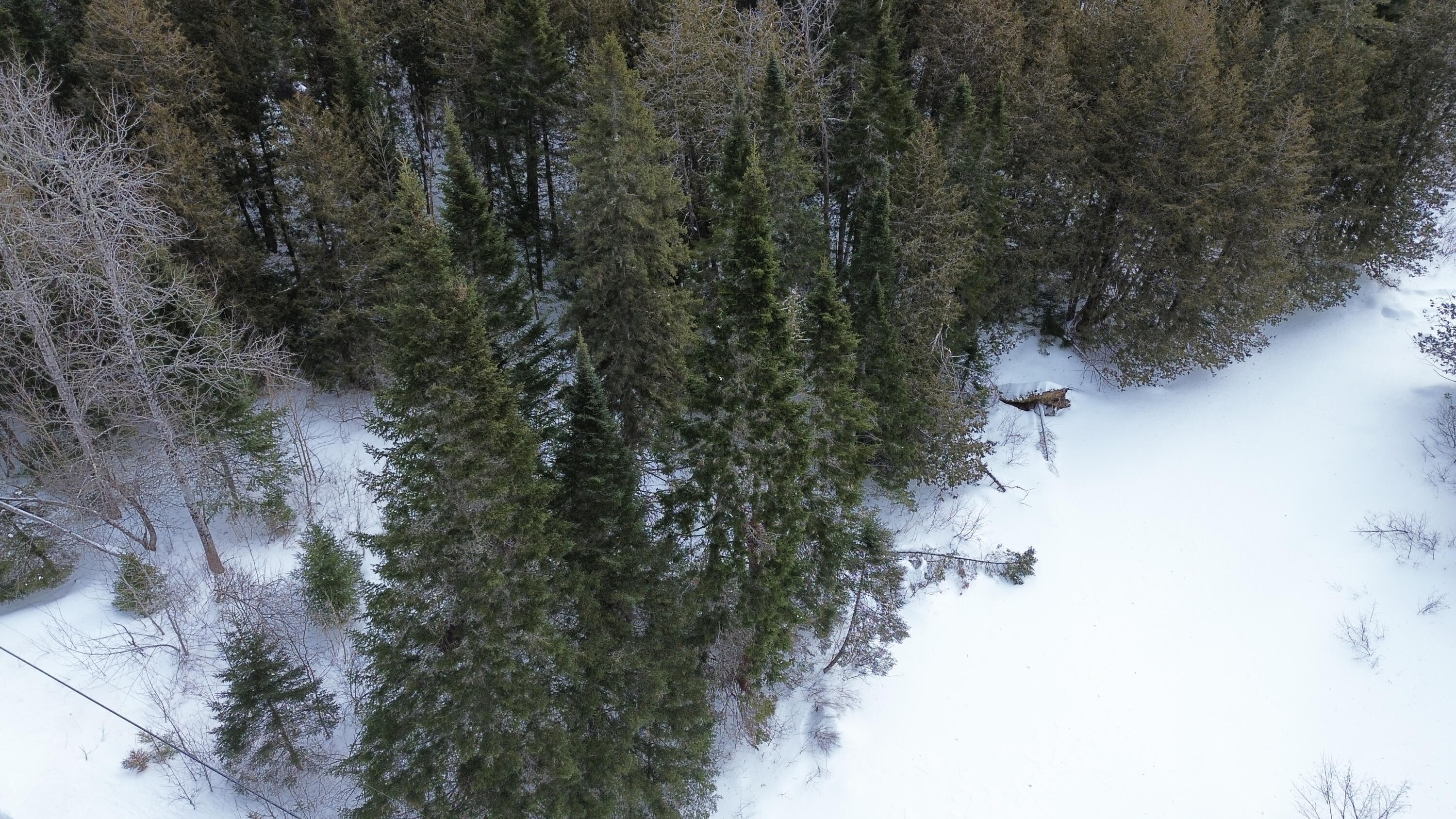 0 Wilcox Road Orient, ME 04471 - Photo 25 of 28 DJI_0107