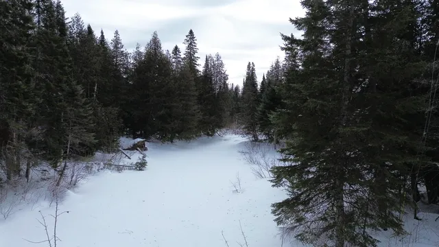 $39,900 | 0 Wilcox Road, Orient, ME 04471