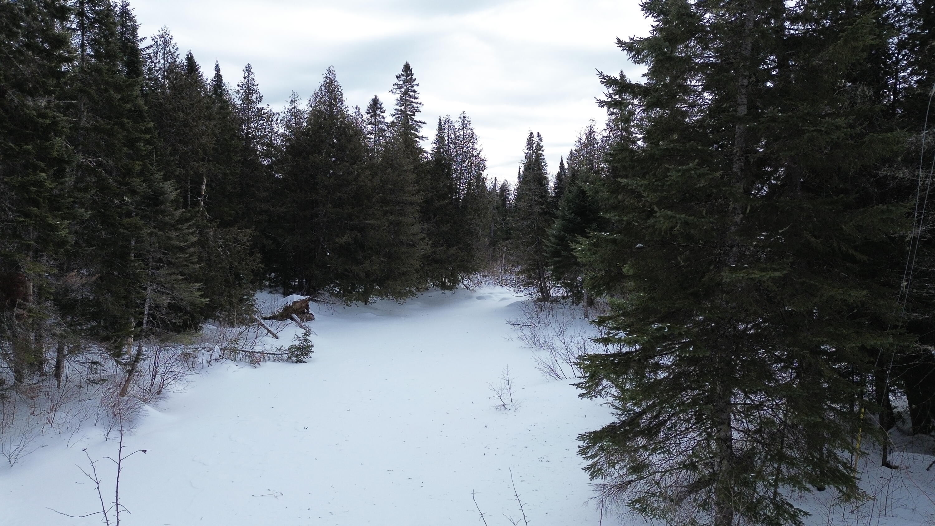 0 Wilcox Road Orient, ME 04471 - Photo 26 of 28 DJI_0108