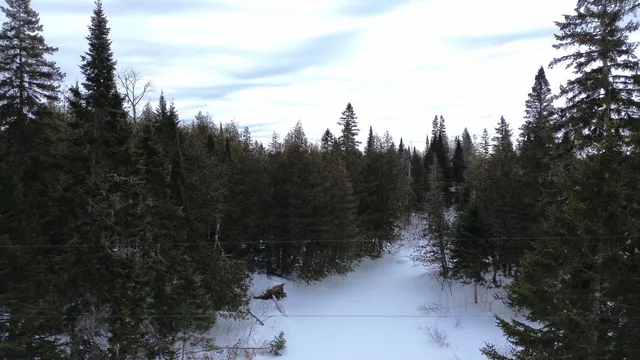 $39,900 | 0 Wilcox Road, Orient, ME 04471