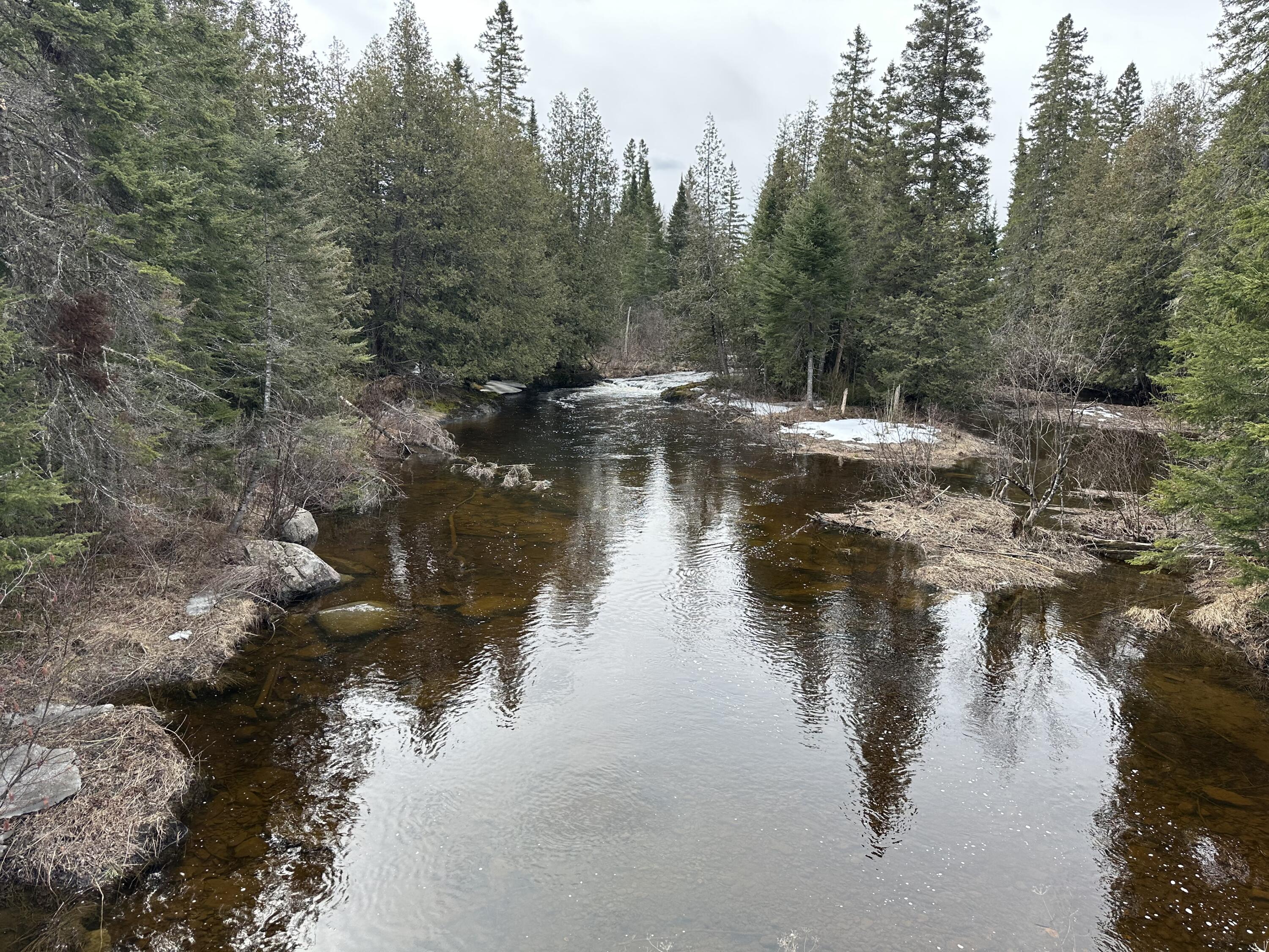 0 Wilcox Road Orient, ME 04471 - Photo 4 of 28 IMG_6778