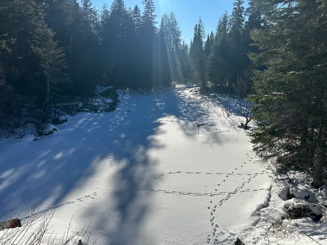 $39,900 | 0 Wilcox Road, Orient, ME 04471