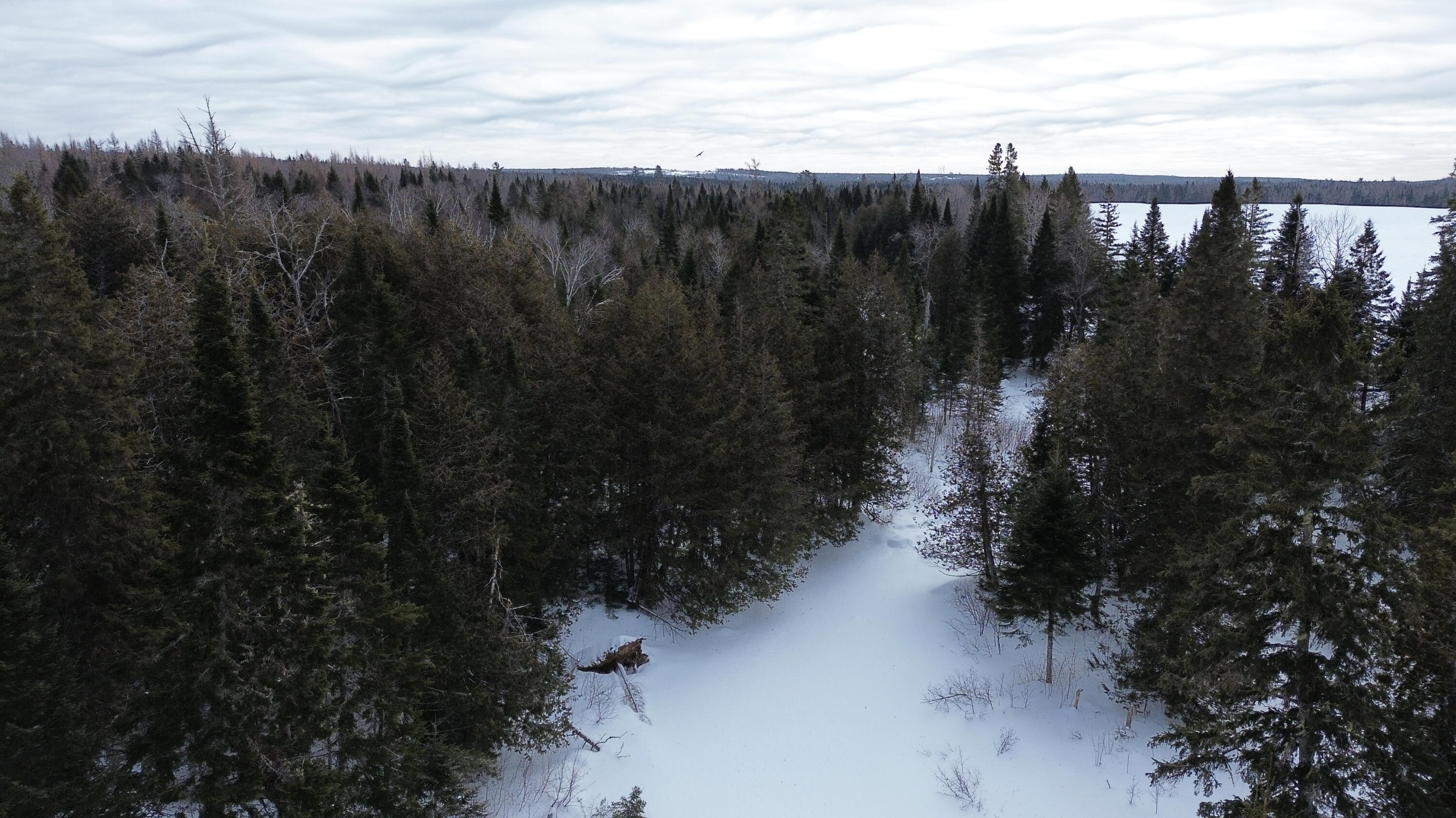 0 Wilcox Road Orient, ME 04471 - Photo 6 of 28 DJI_0112