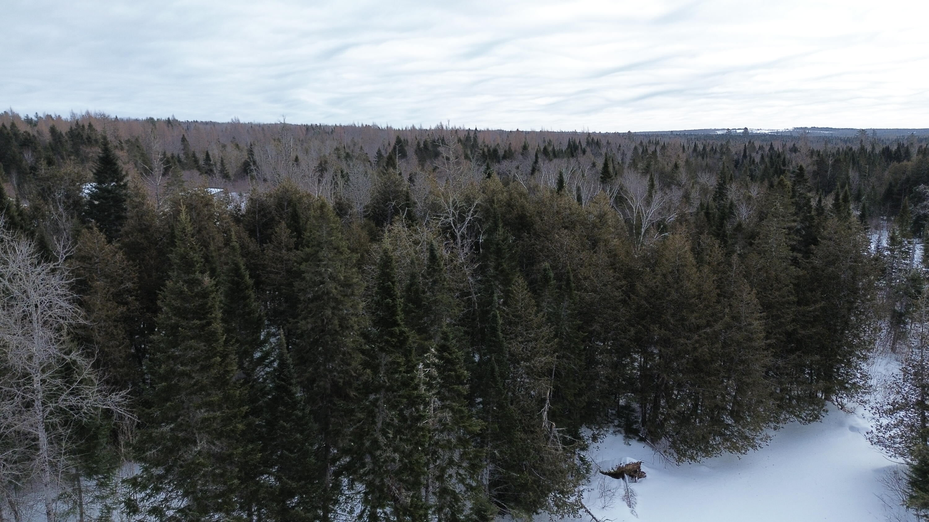 0 Wilcox Road Orient, ME 04471 - Photo 7 of 28 DJI_0099