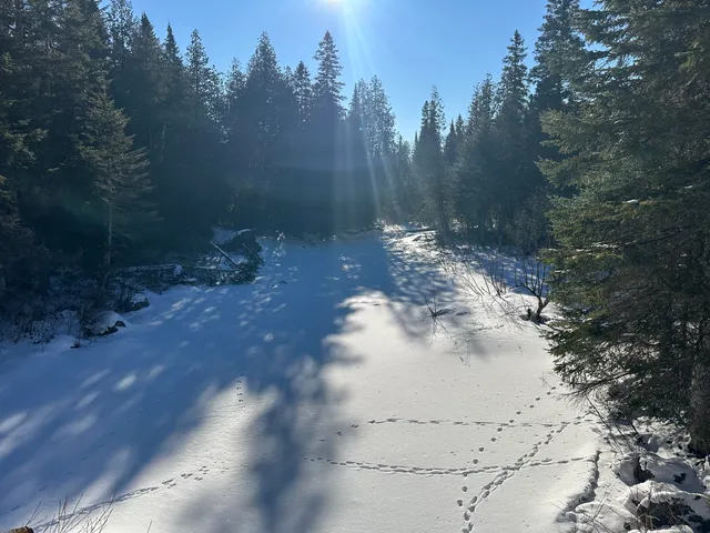 $39,900 | 0 Wilcox Road, Orient, ME 04471