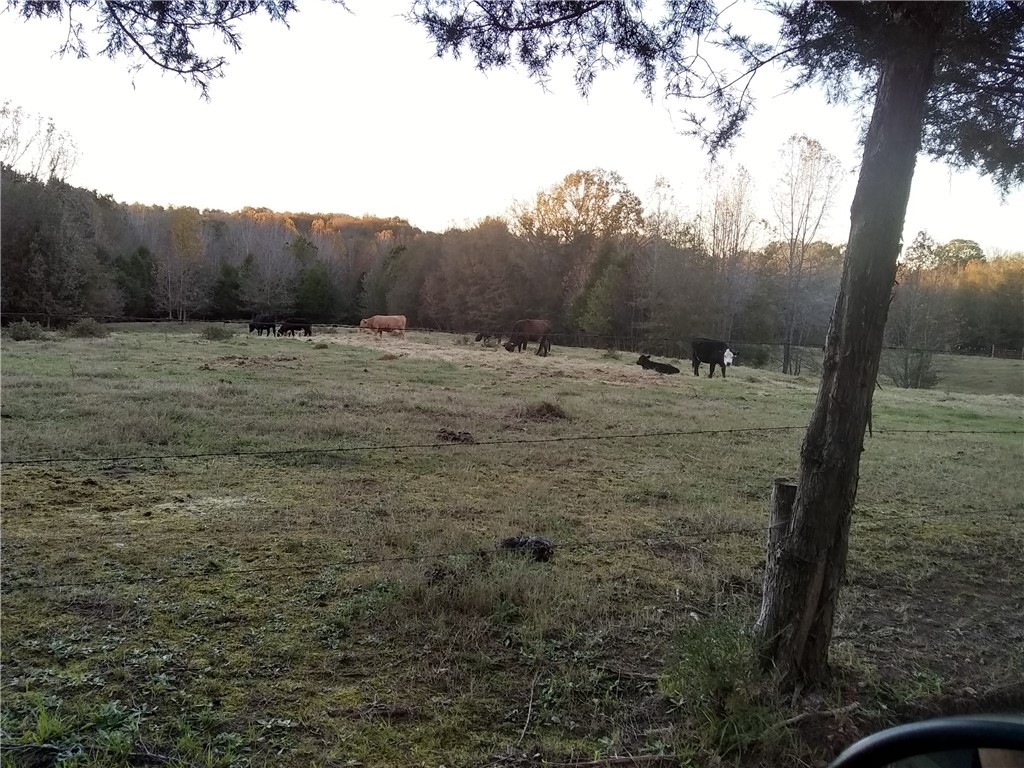 1201 Wilton E Hall Road Starr, SC 29684 - Photo 27 of 28