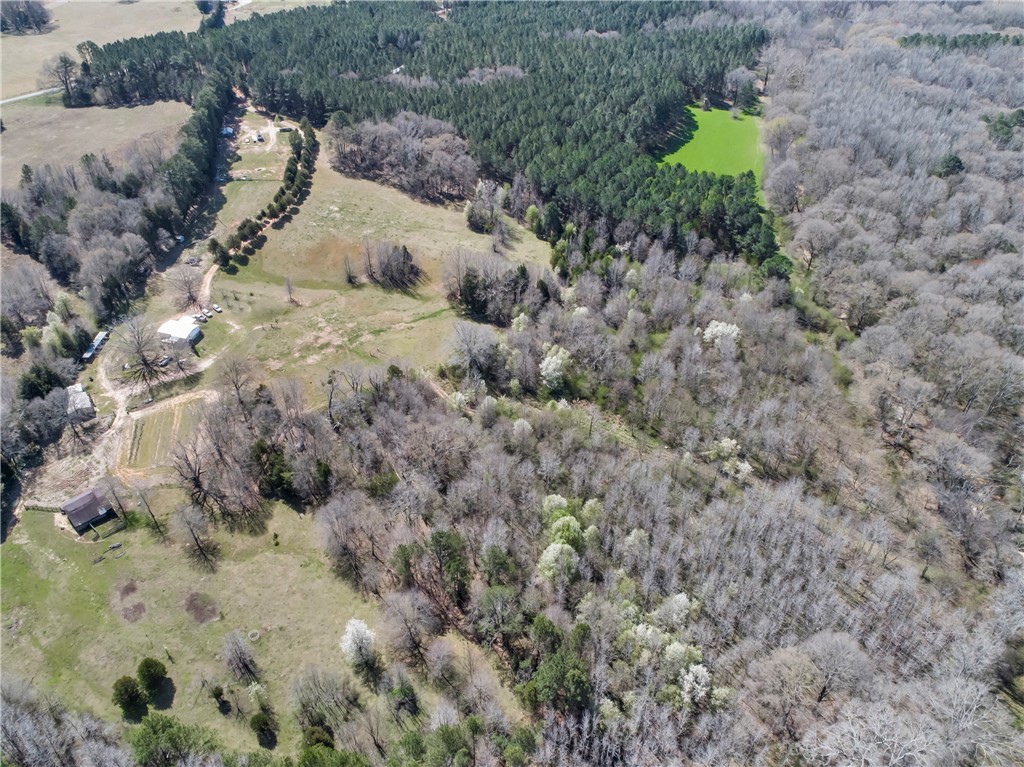 1201 Wilton E Hall Road Starr, SC 29684 - Photo 4 of 28