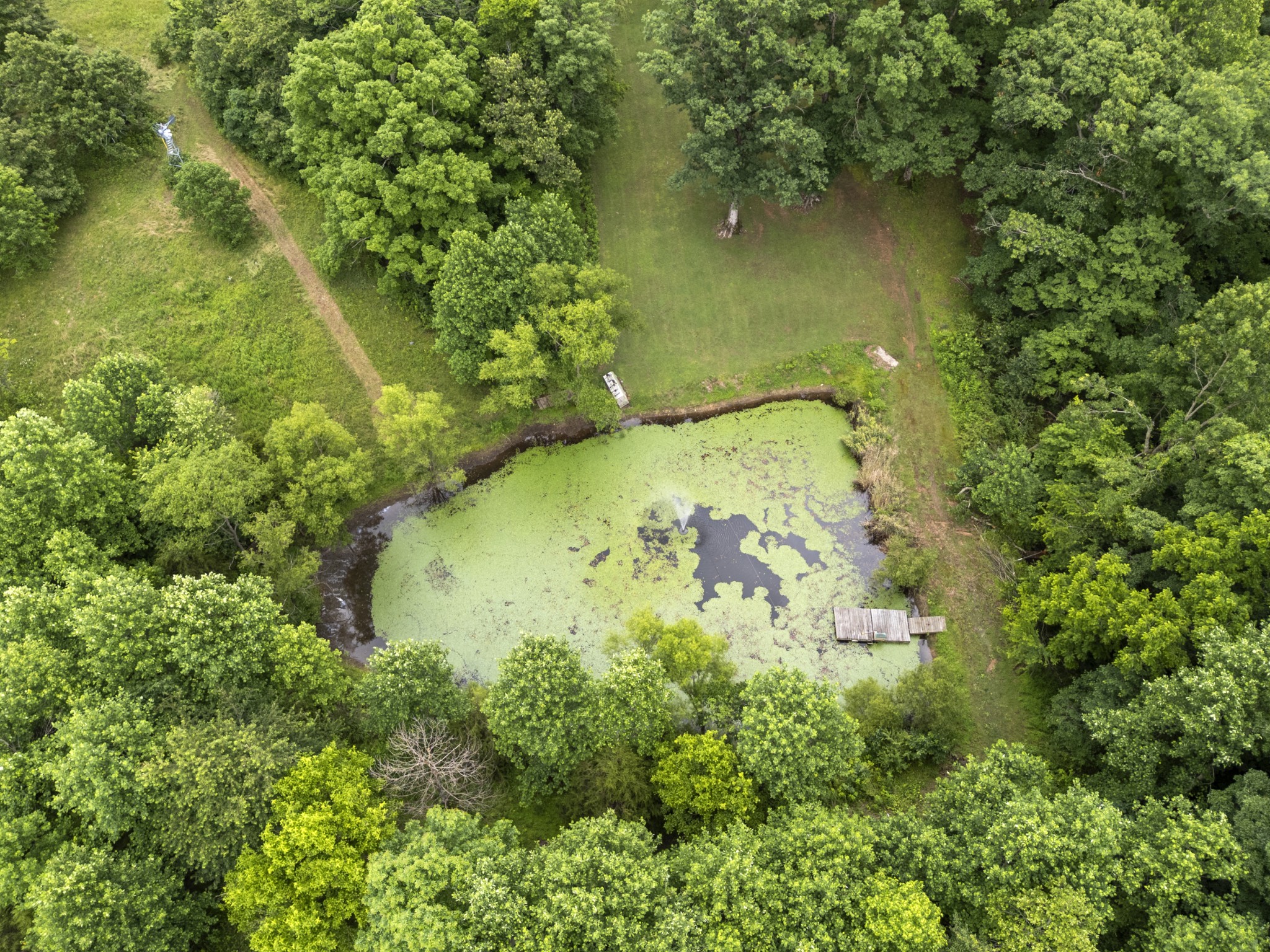 1100 Mill Road Dickson, TN 37055 - Photo 53 of 66