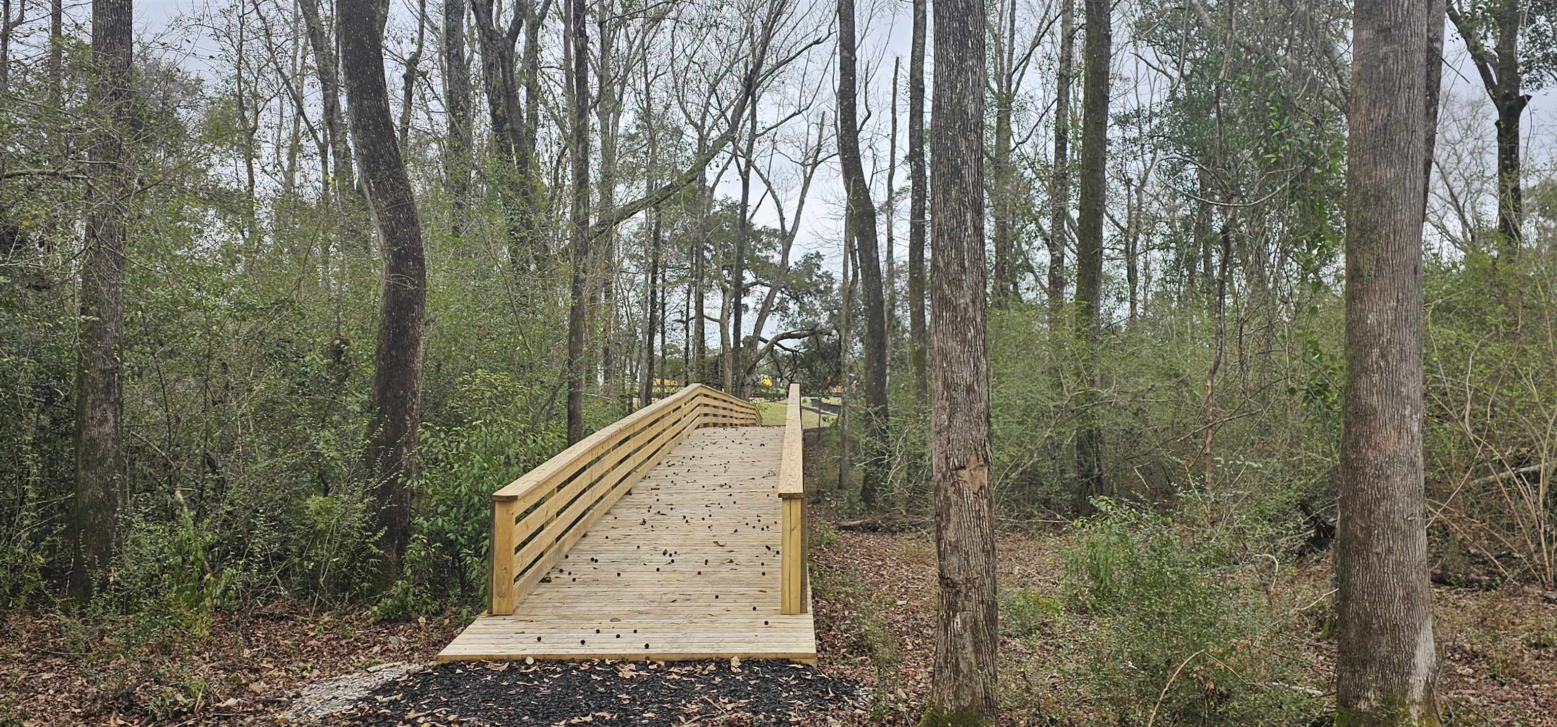 404 Meriwether Court Fairhope, AL 36532 - Photo 23 of 33