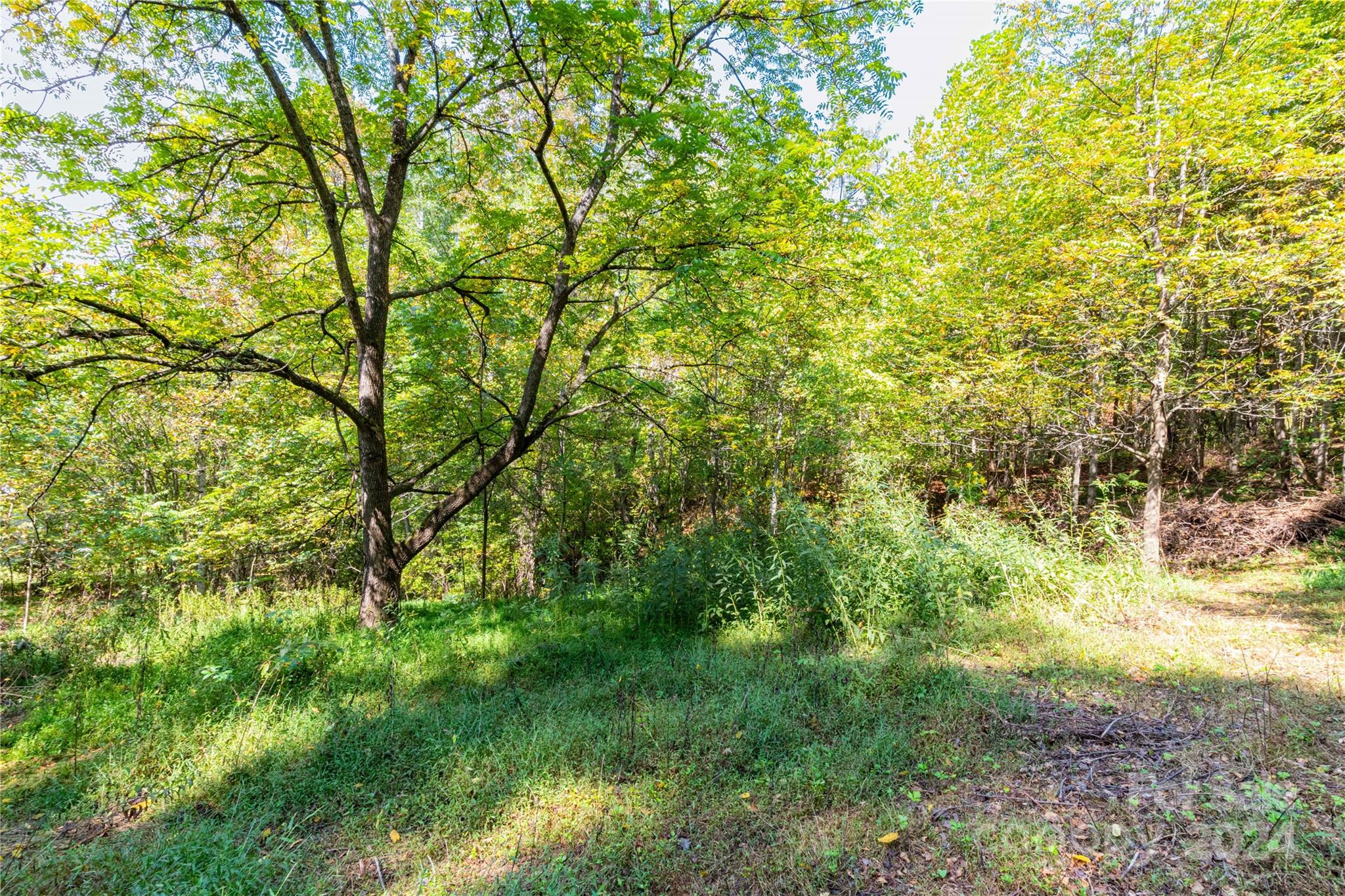 0 Sandy Flat Mountain Road Fletcher, NC 28732 - Photo 11 of 25
