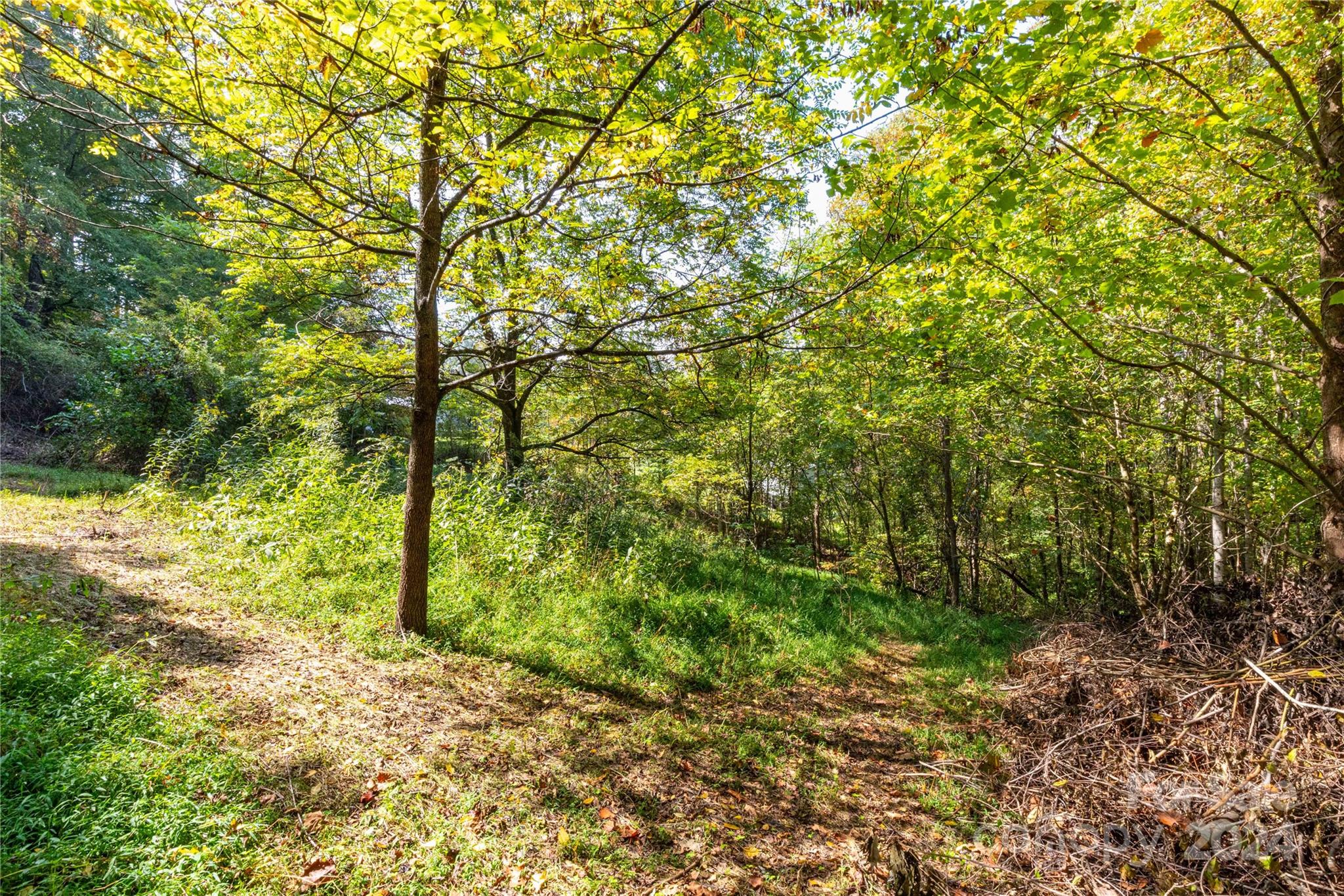 0 Sandy Flat Mountain Road Fletcher, NC 28732 - Photo 12 of 25