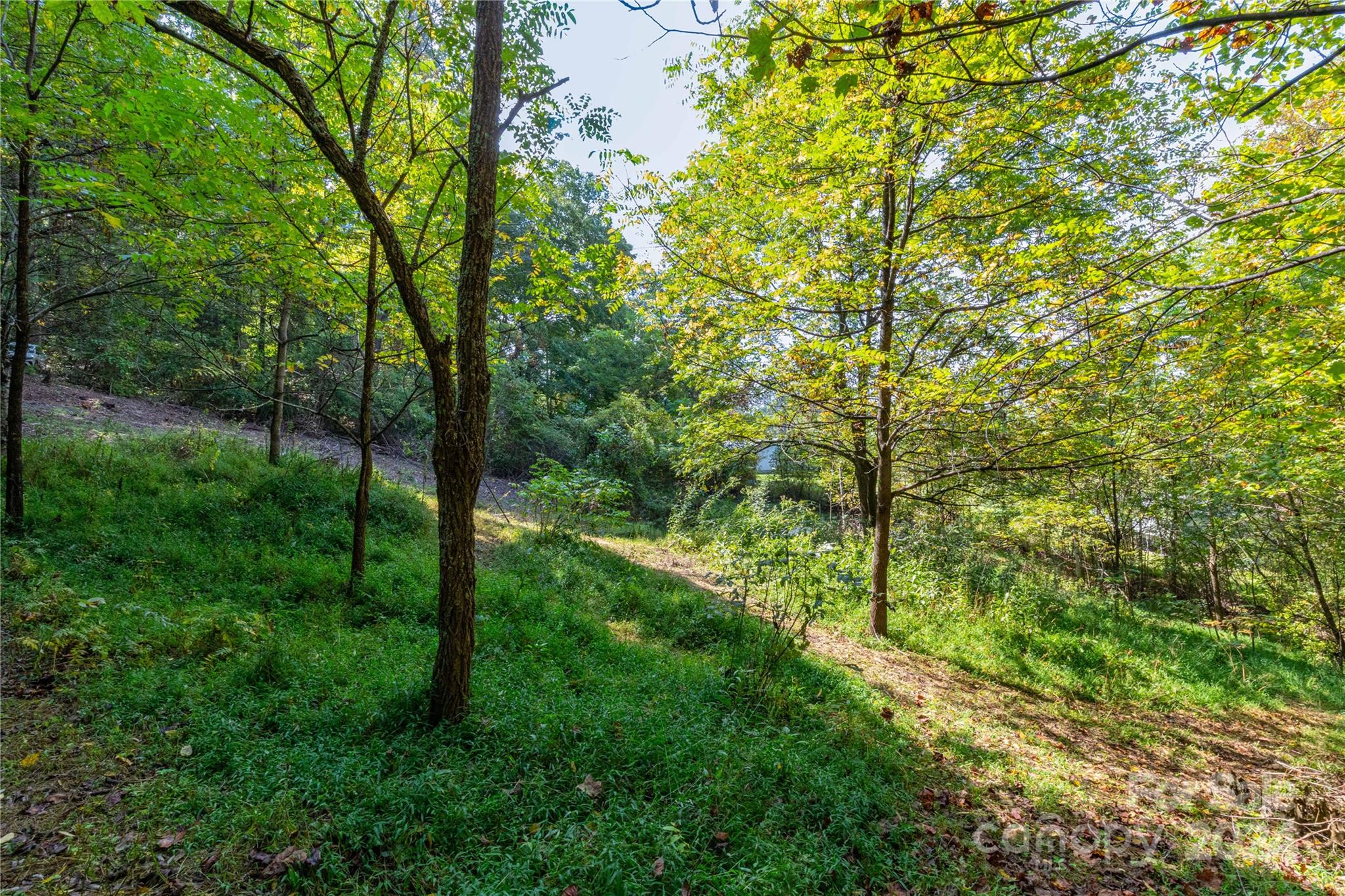 0 Sandy Flat Mountain Road Fletcher, NC 28732 - Photo 13 of 25