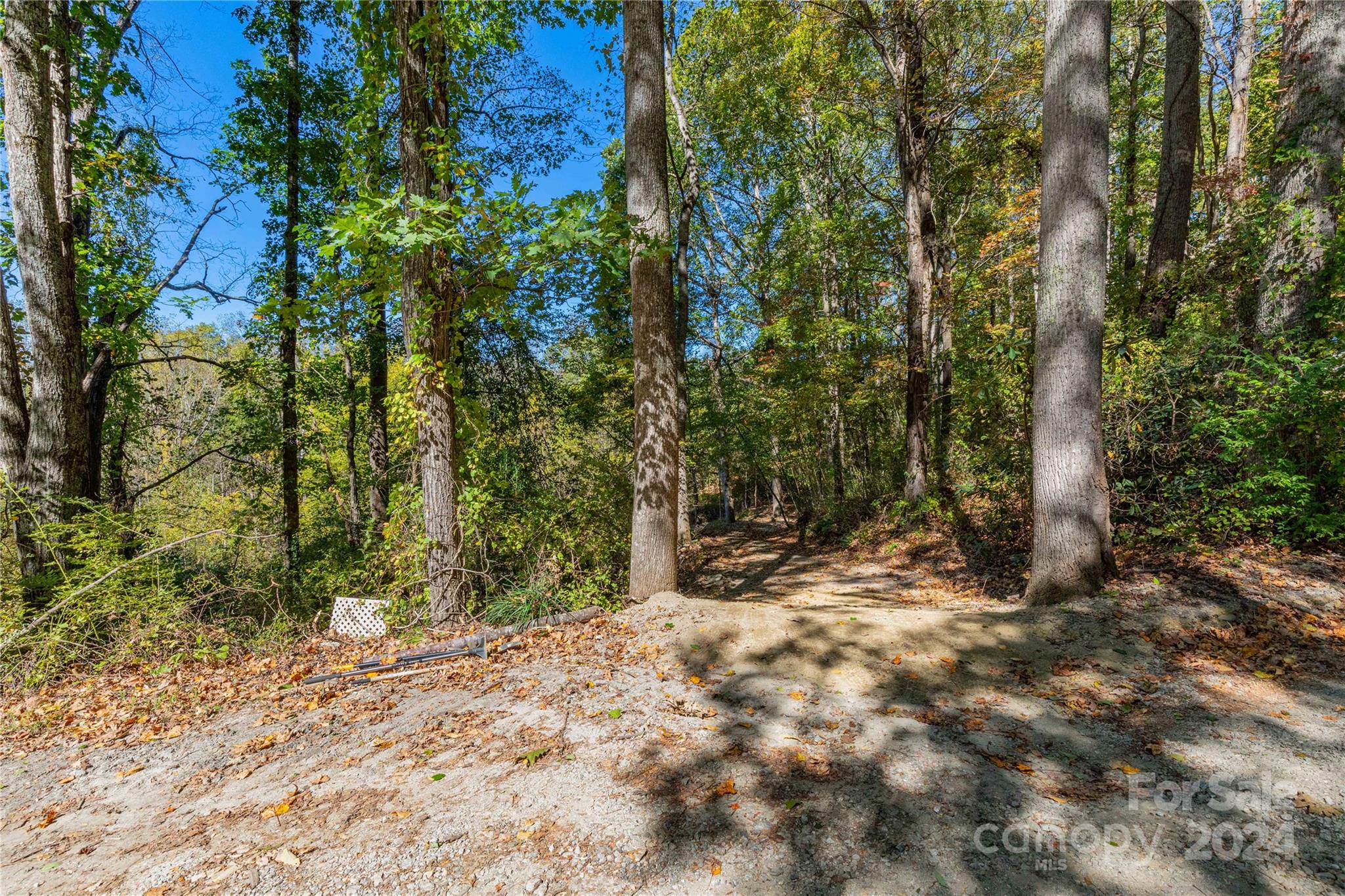 0 Sandy Flat Mountain Road Fletcher, NC 28732 - Photo 14 of 25