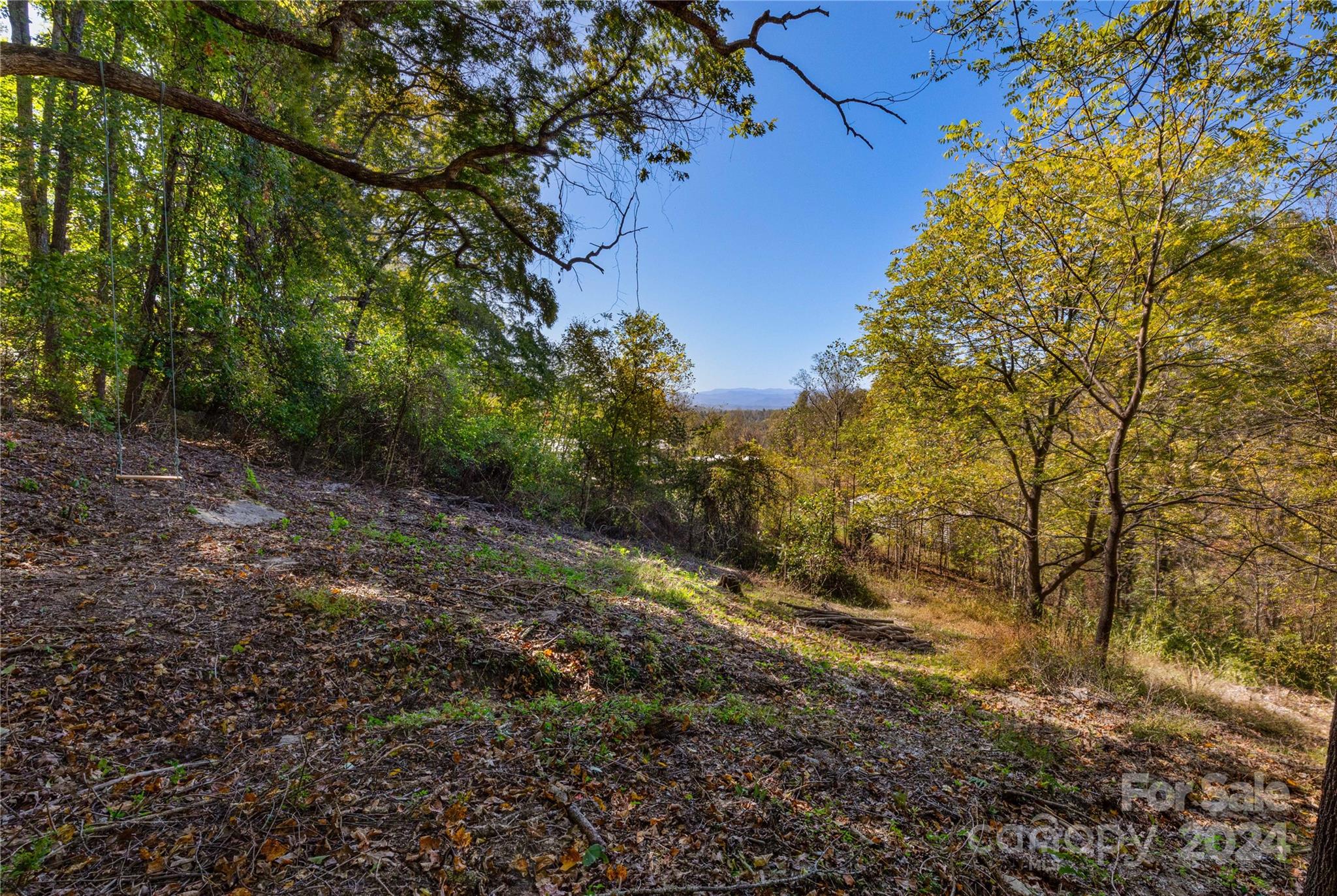 0 Sandy Flat Mountain Road Fletcher, NC 28732 - Photo 15 of 25