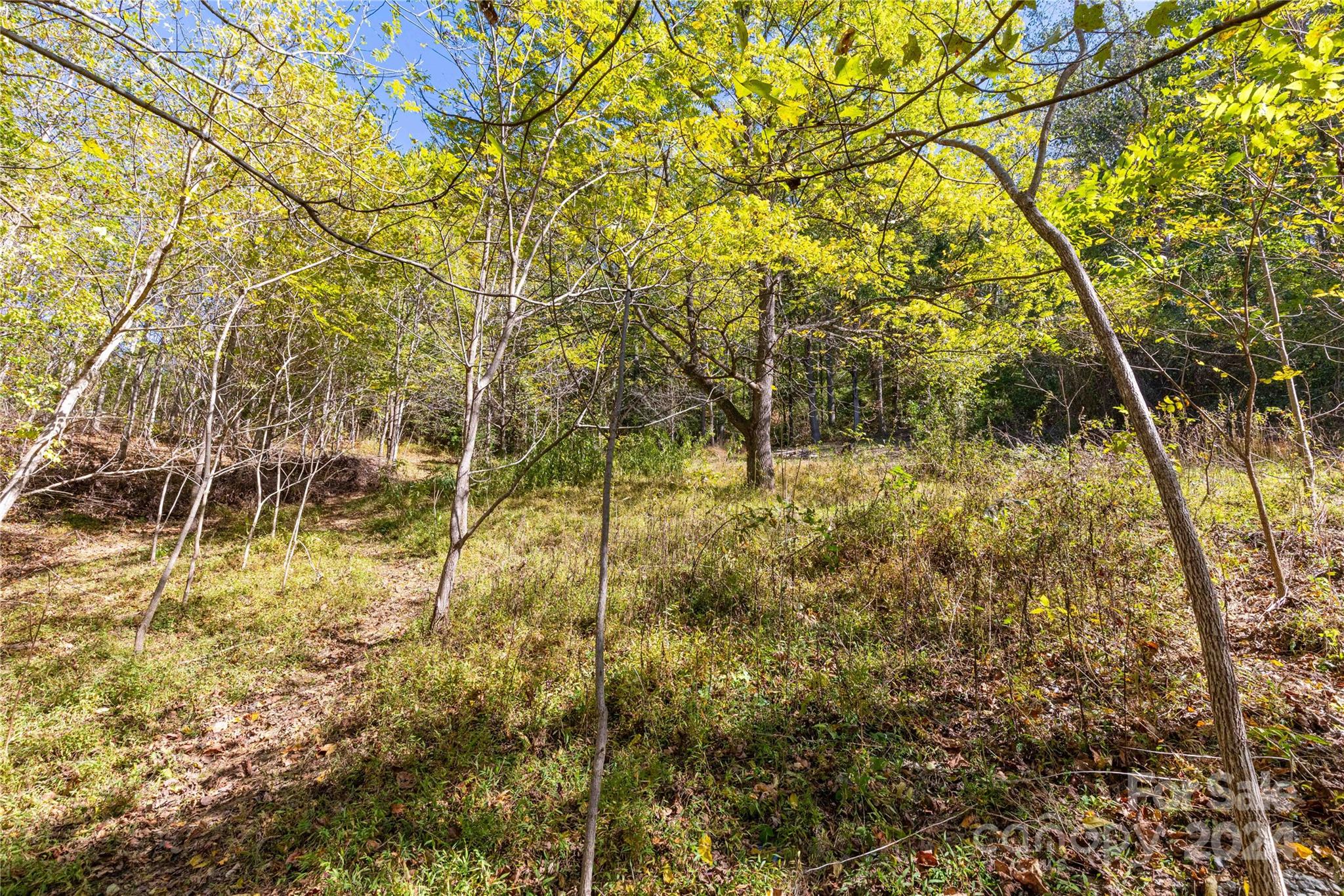 0 Sandy Flat Mountain Road Fletcher, NC 28732 - Photo 16 of 25