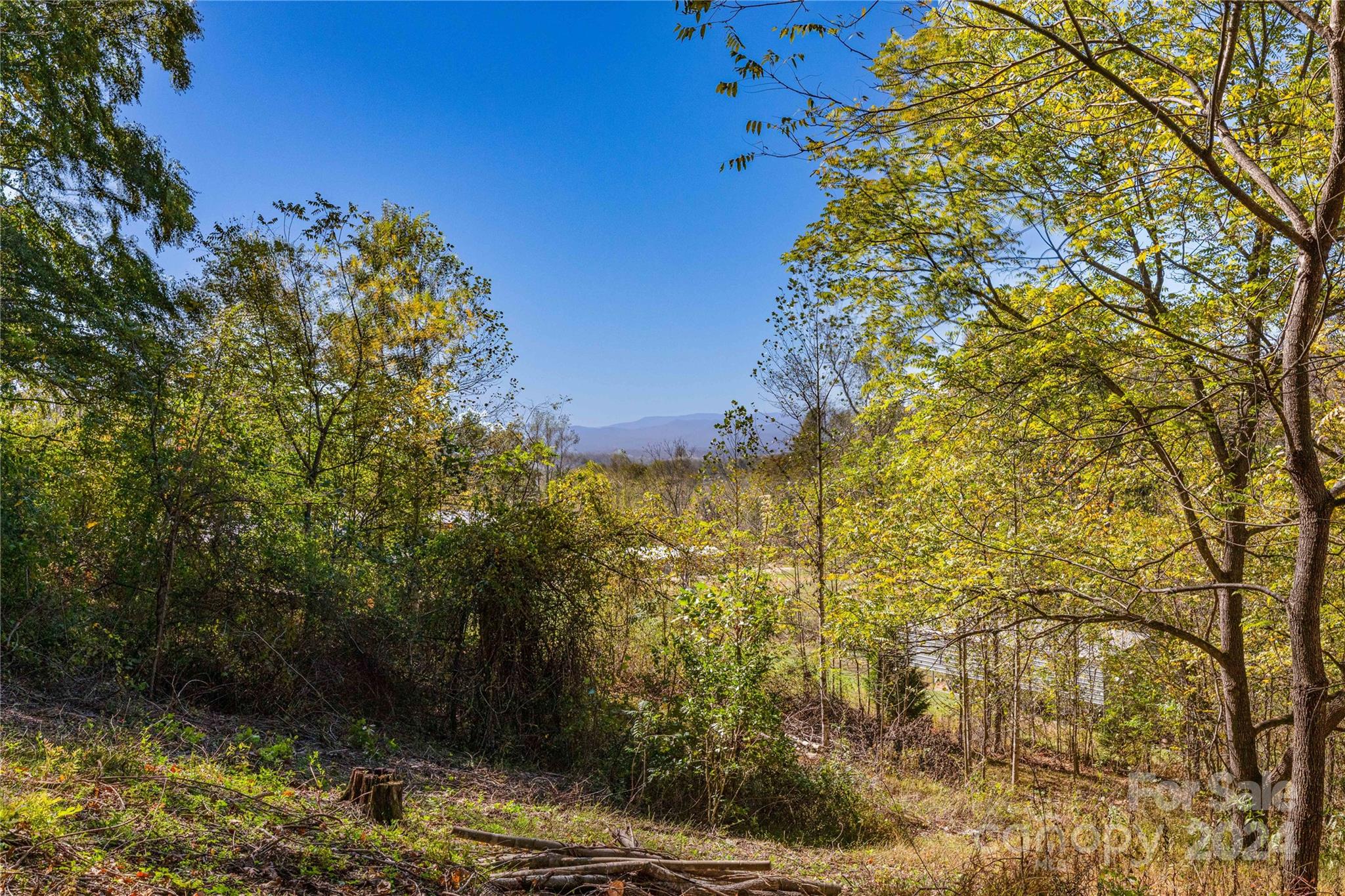 0 Sandy Flat Mountain Road Fletcher, NC 28732 - Photo 17 of 25