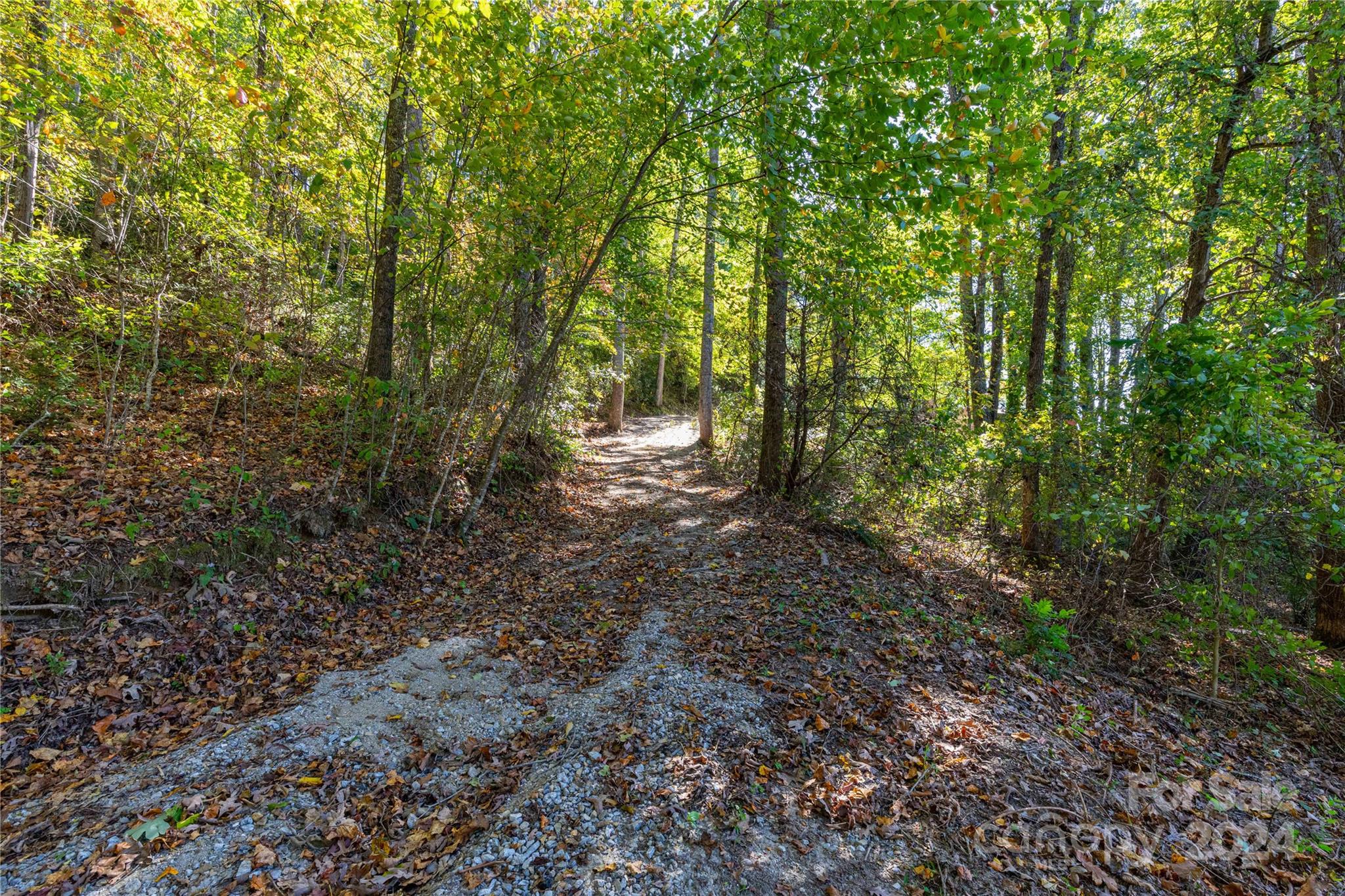 0 Sandy Flat Mountain Road Fletcher, NC 28732 - Photo 18 of 25