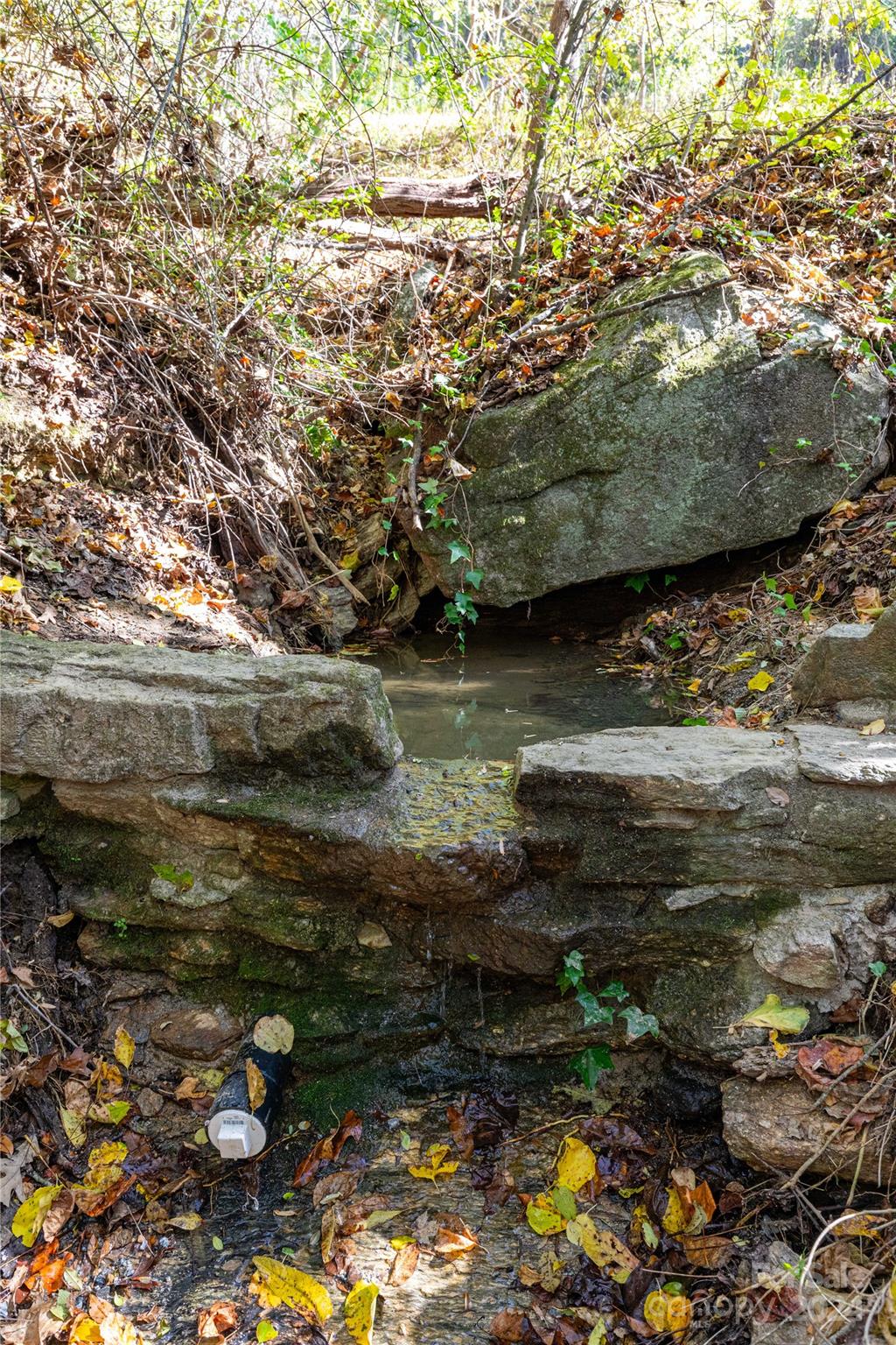 0 Sandy Flat Mountain Road Fletcher, NC 28732 - Photo 19 of 25