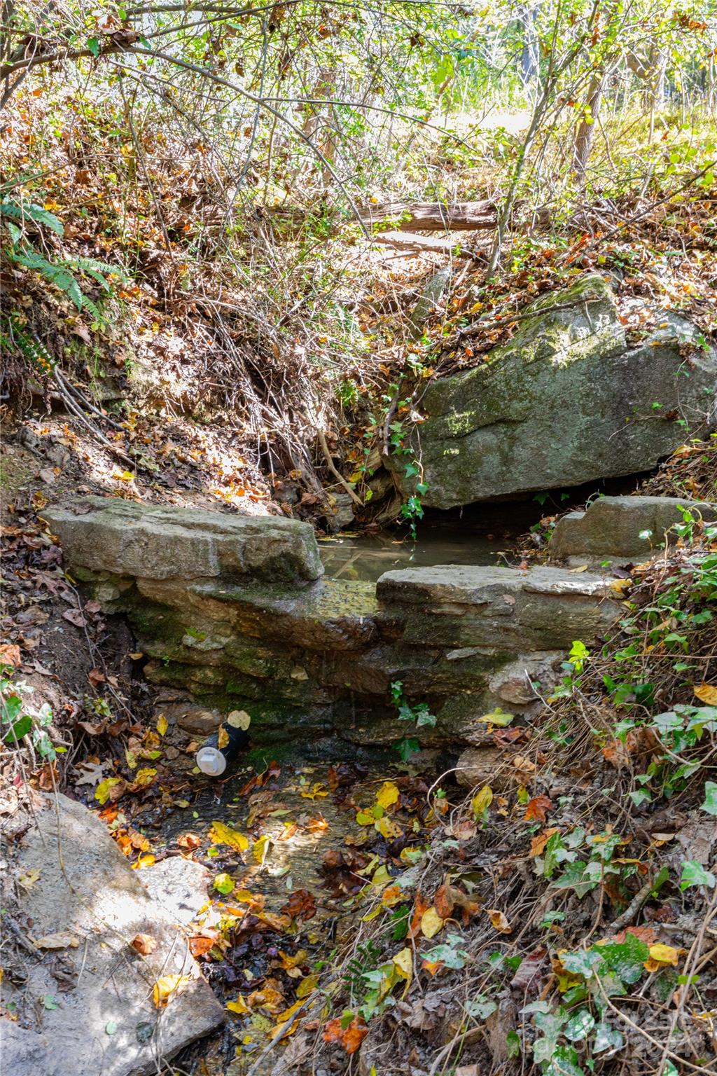 0 Sandy Flat Mountain Road Fletcher, NC 28732 - Photo 20 of 25