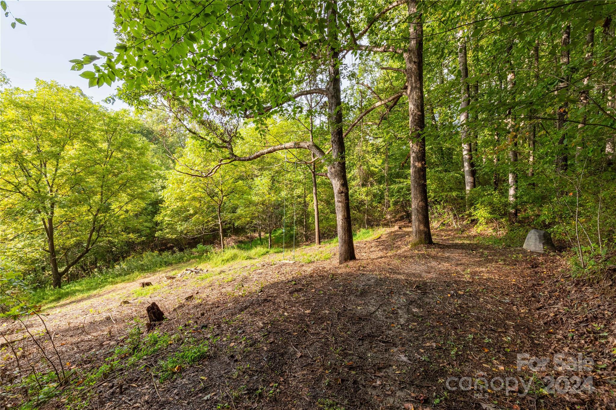 0 Sandy Flat Mountain Road Fletcher, NC 28732 - Photo 2 of 25