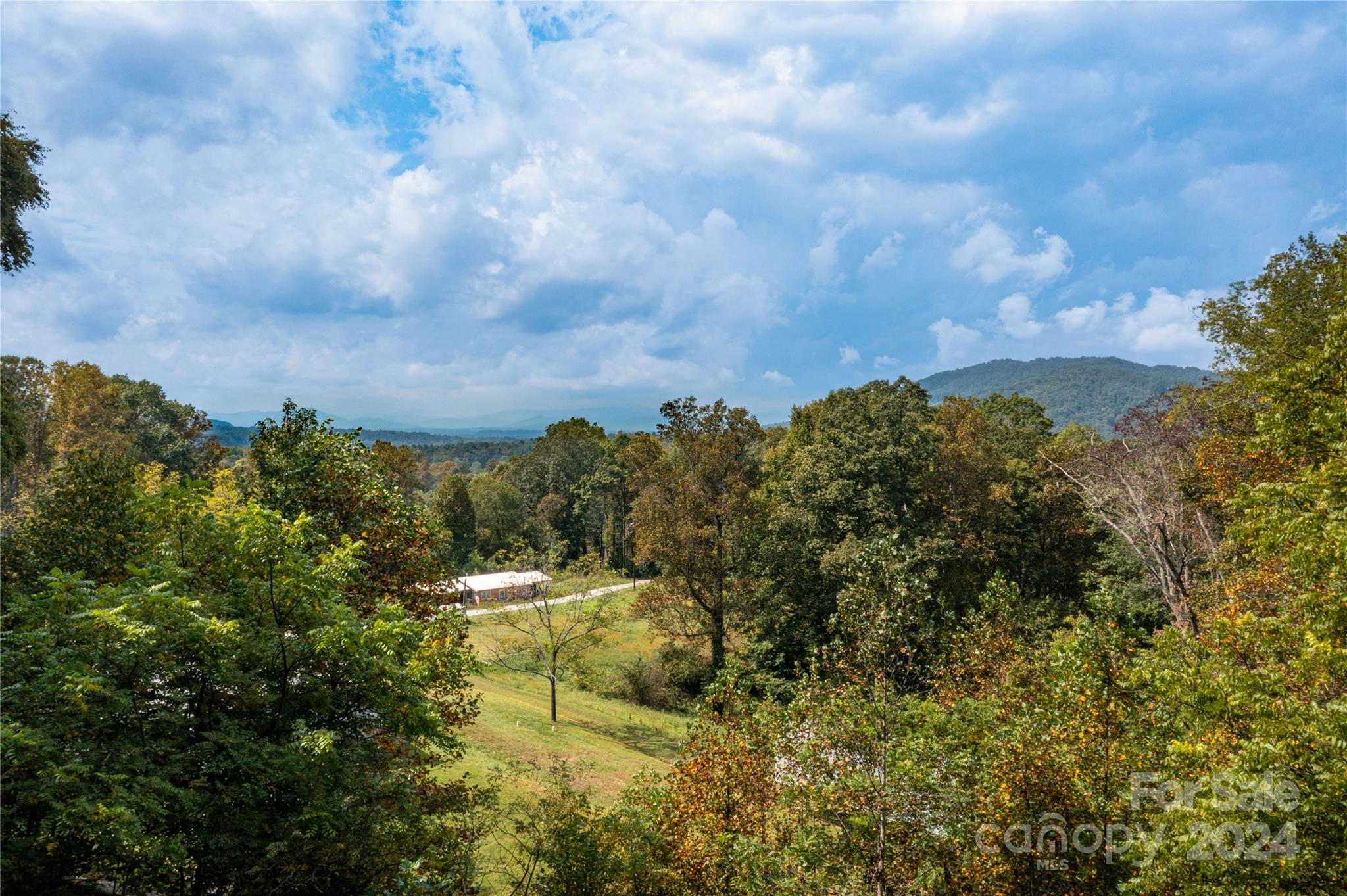 0 Sandy Flat Mountain Road Fletcher, NC 28732 - Photo 22 of 25
