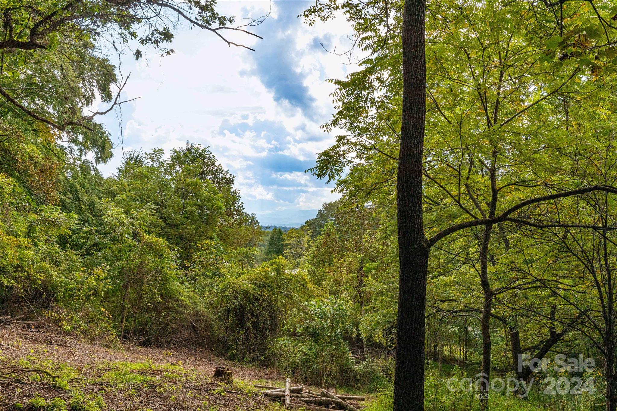0 Sandy Flat Mountain Road Fletcher, NC 28732 - Photo 3 of 25