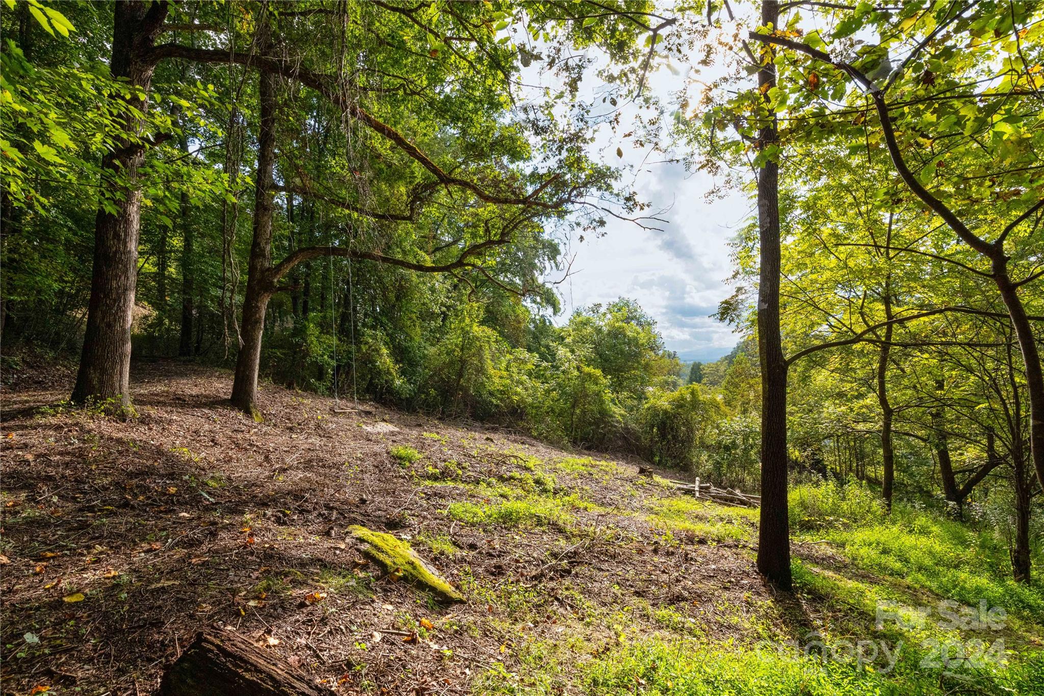 0 Sandy Flat Mountain Road Fletcher, NC 28732 - Photo 4 of 25