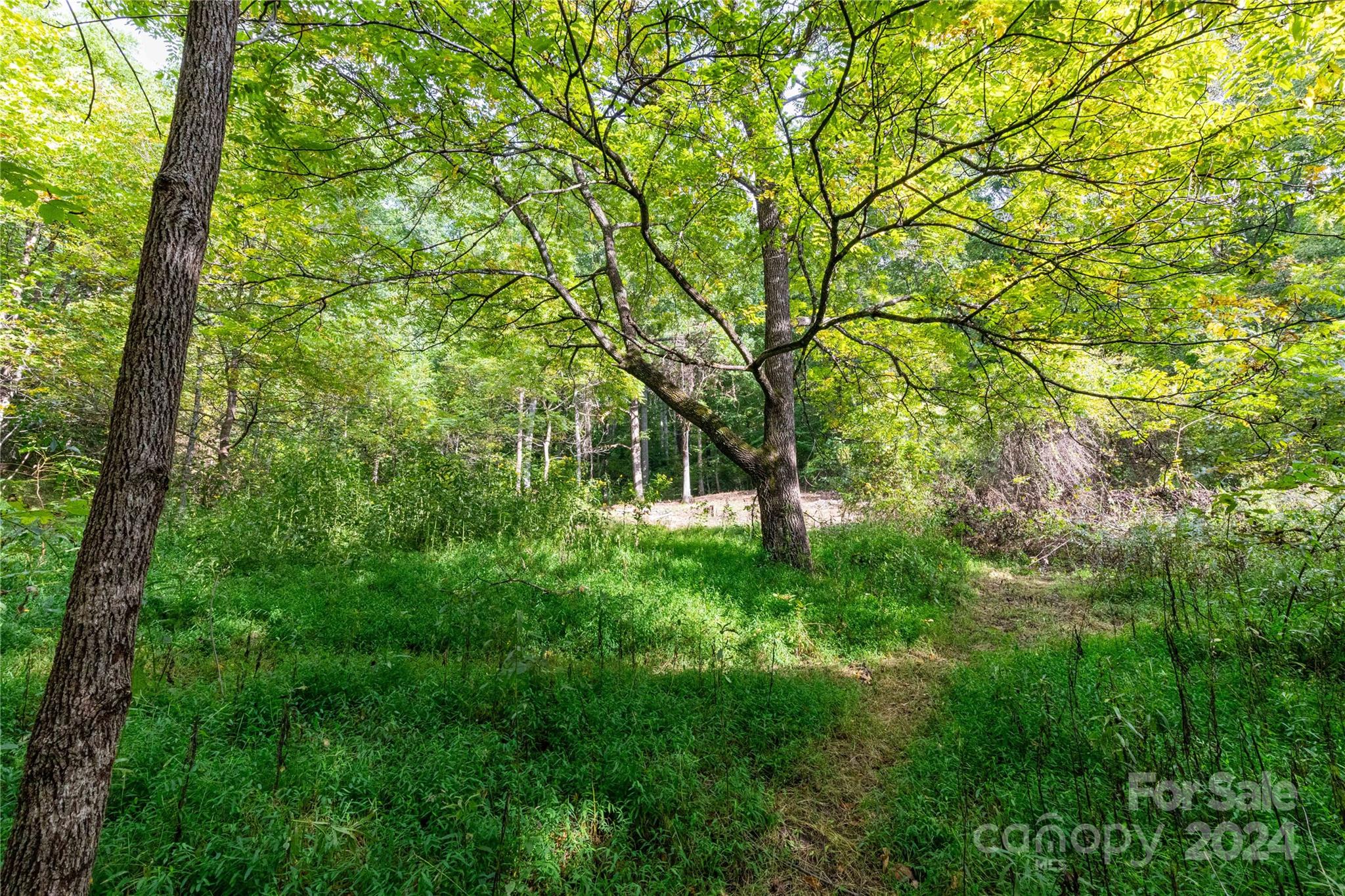 0 Sandy Flat Mountain Road Fletcher, NC 28732 - Photo 5 of 25