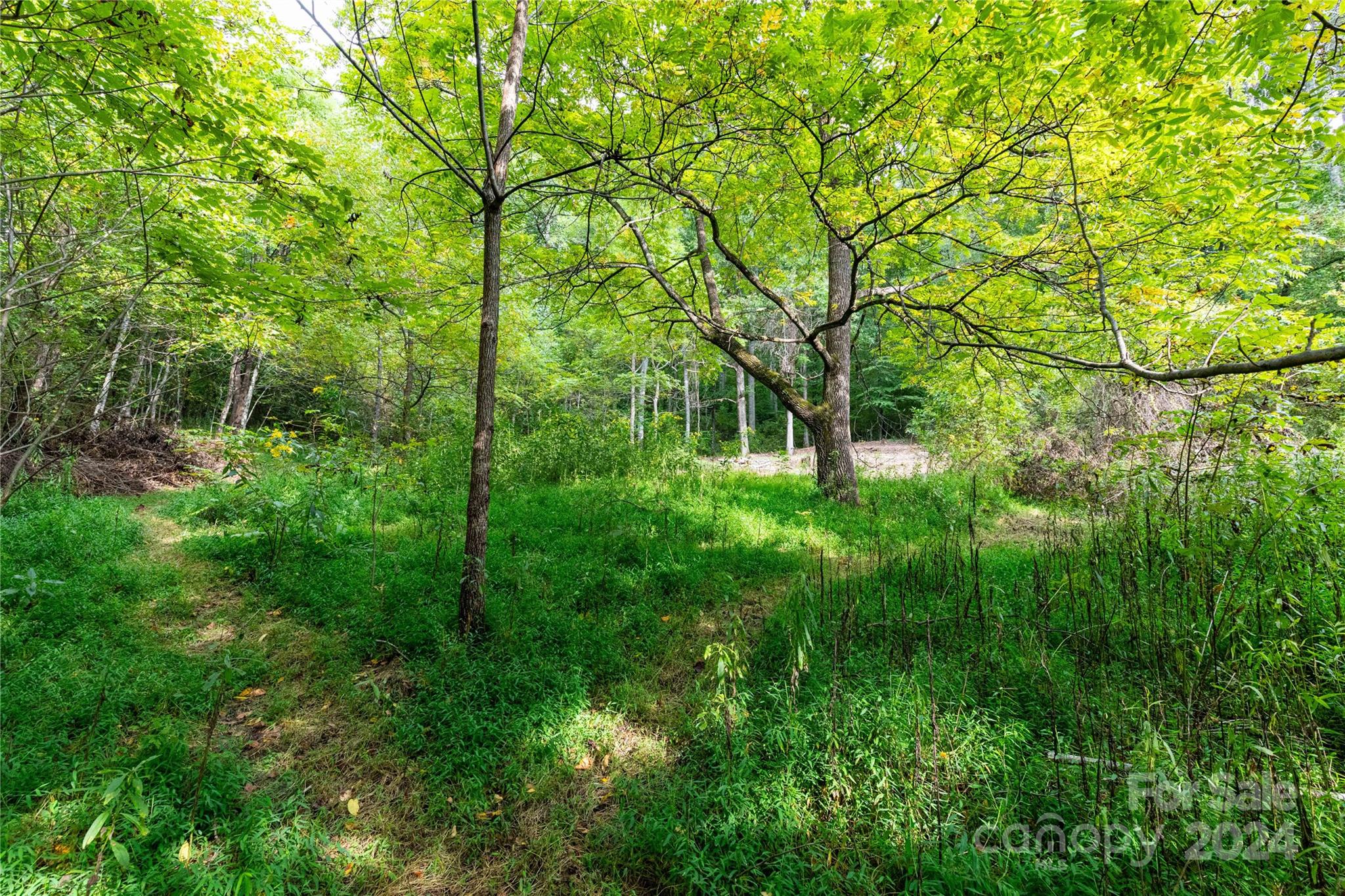 0 Sandy Flat Mountain Road Fletcher, NC 28732 - Photo 6 of 25