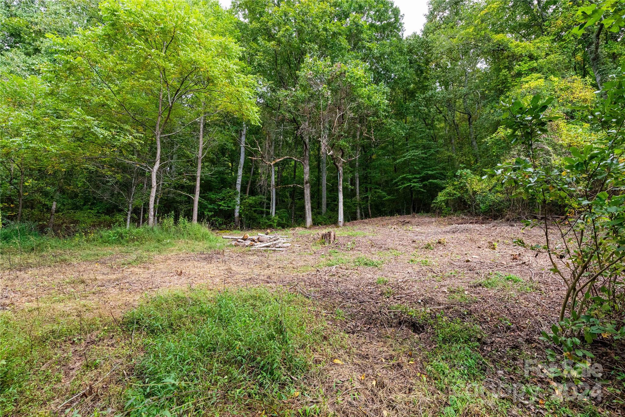 0 Sandy Flat Mountain Road Fletcher, NC 28732 - Photo 7 of 25