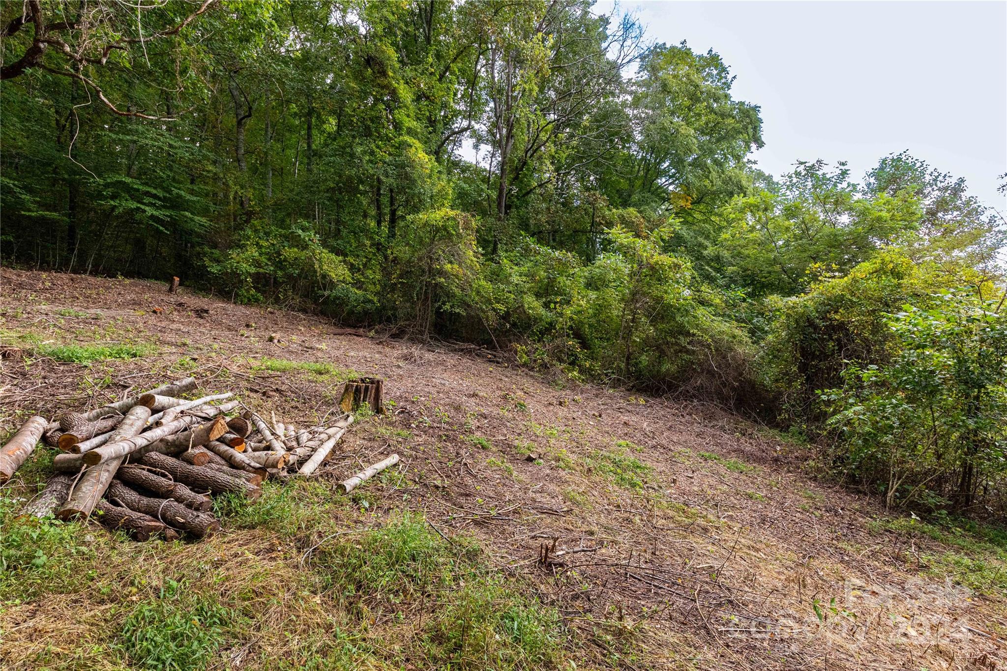 0 Sandy Flat Mountain Road Fletcher, NC 28732 - Photo 8 of 25