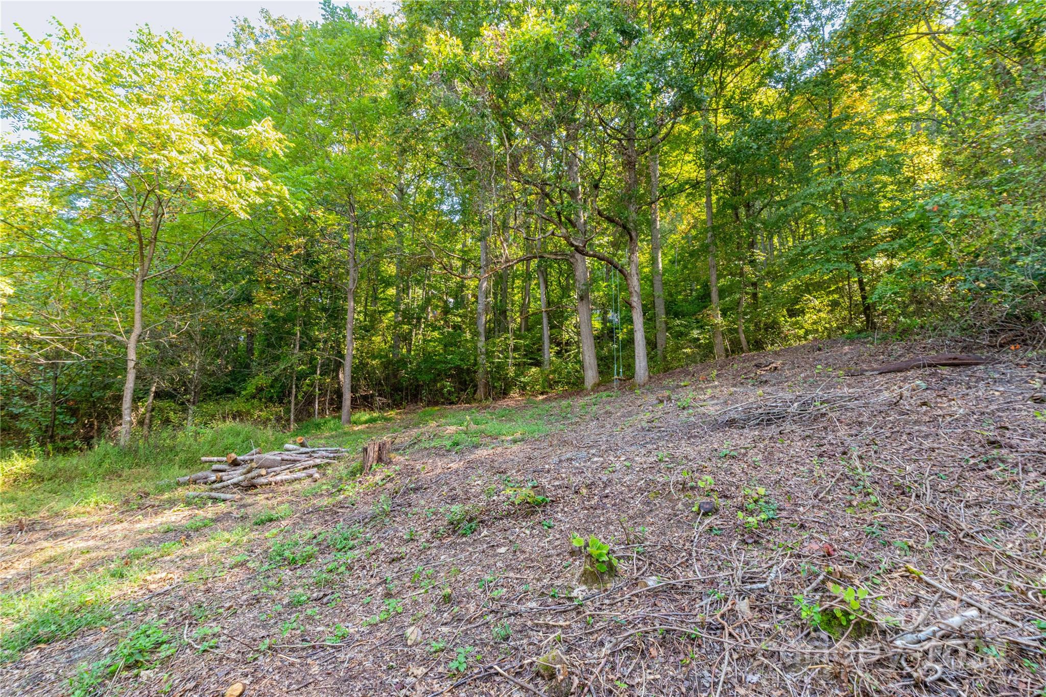 0 Sandy Flat Mountain Road Fletcher, NC 28732 - Photo 10 of 25