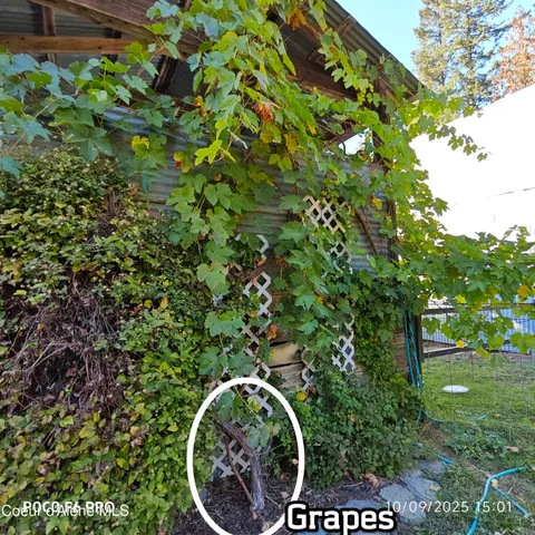 $1,095,000 | 55 Trotter Lane, Sandpoint, ID 83864