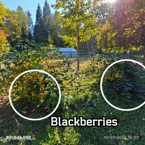 $1,095,000 | 55 Trotter Lane, Sandpoint, ID 83864