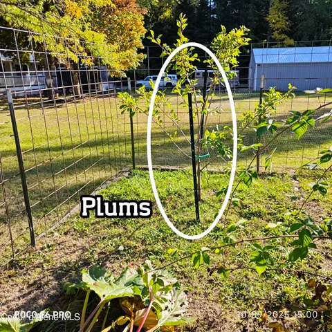 $1,095,000 | 55 Trotter Lane, Sandpoint, ID 83864