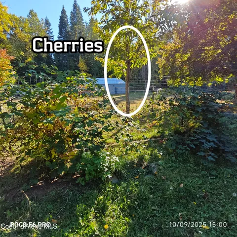 $1,095,000 | 55 Trotter Lane, Sandpoint, ID 83864