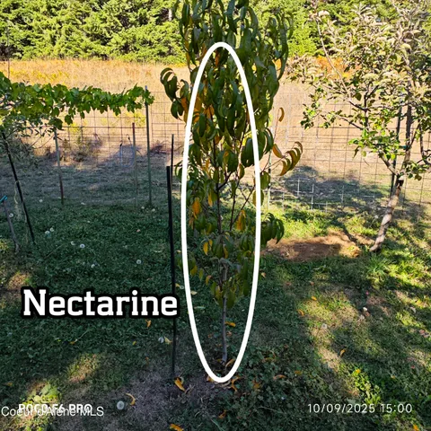 $1,095,000 | 55 Trotter Lane, Sandpoint, ID 83864