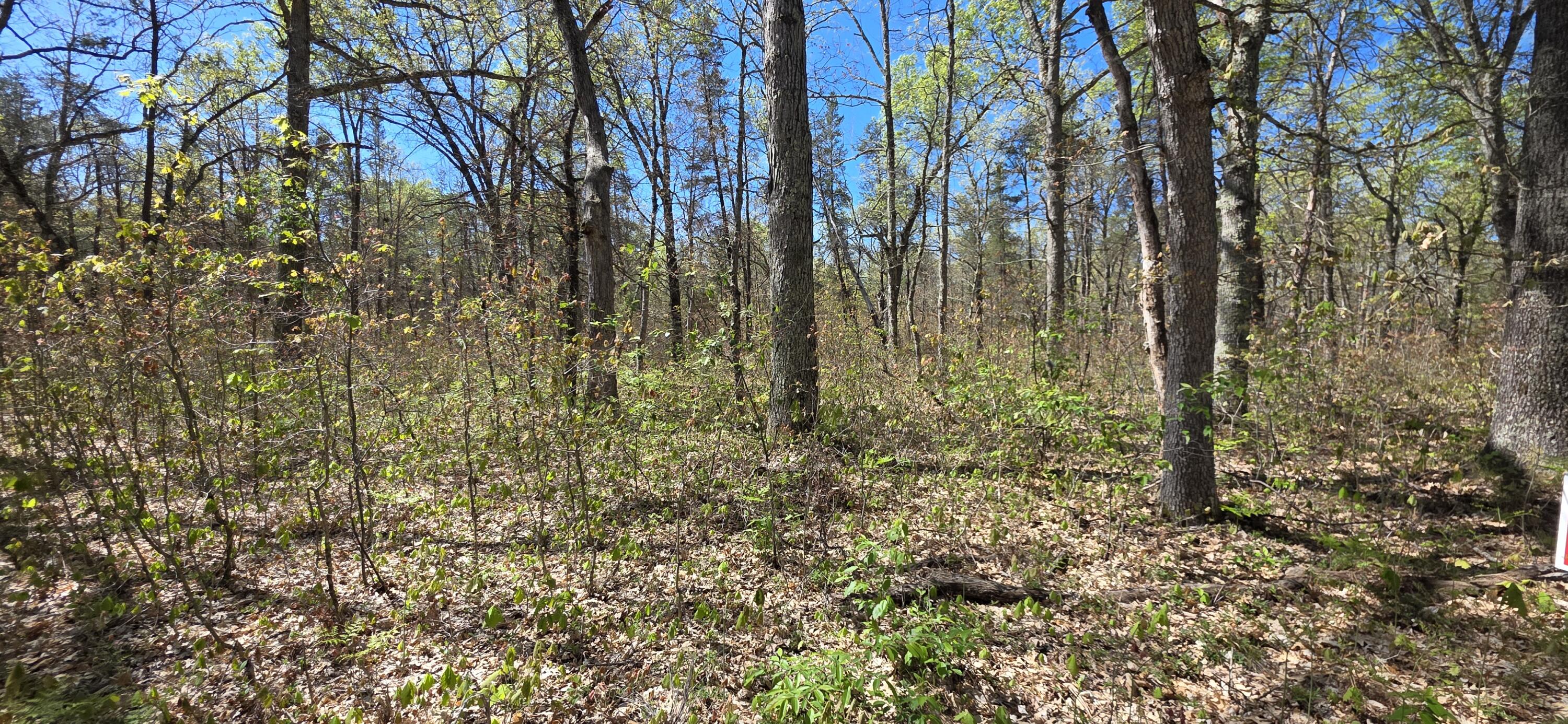 East Hoague Road Free Soil, MI 49411 - Photo 2 of 6 20260529_111516