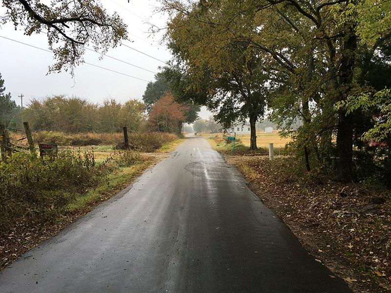 Rains County Rd County Road 3150 Emory, TX 75440 - Photo 2 of 20 Gallery Image 2