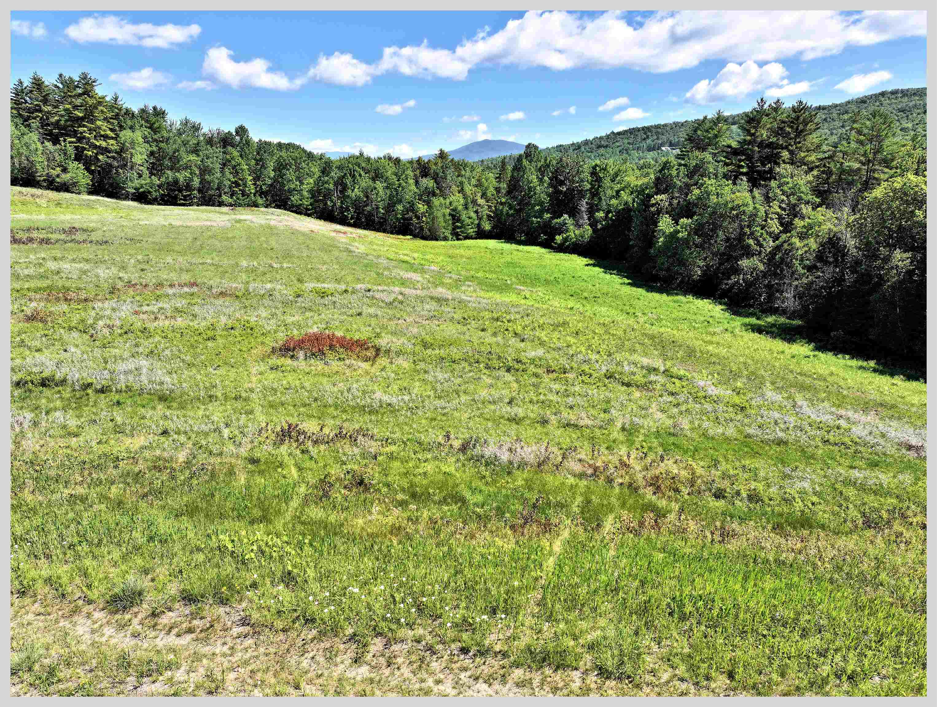 206 River Road Rumney, NH 03266 - Photo 55 of 60