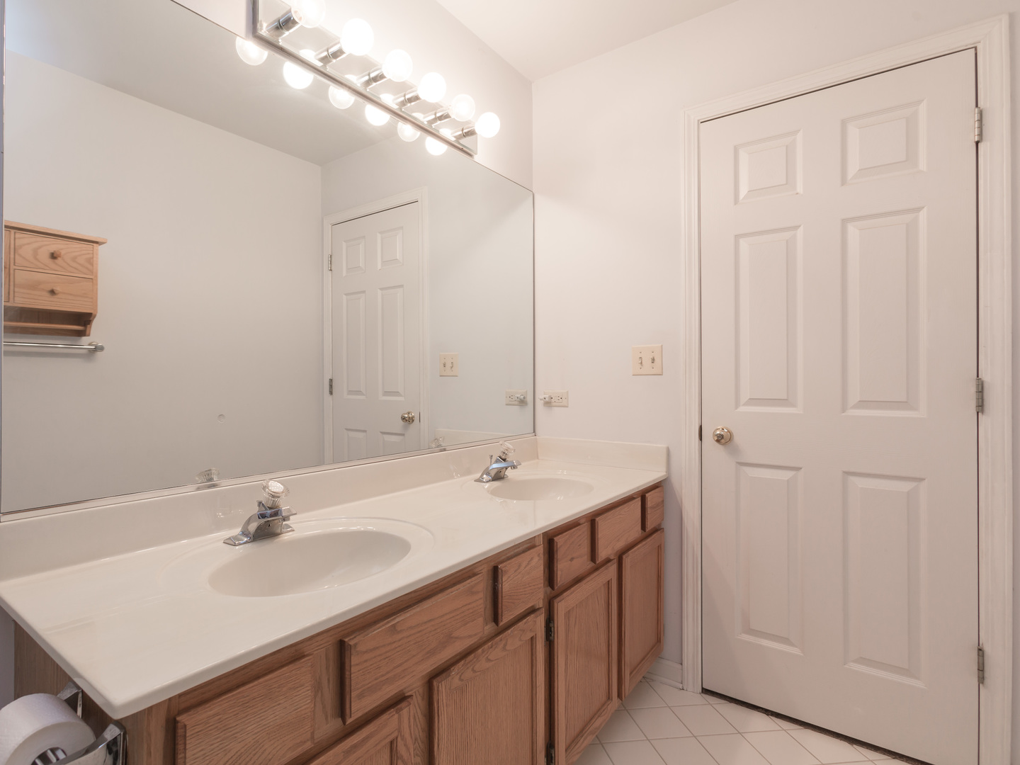 1415 Stonegate Road Algonquin, IL 60102 - Photo 31 of 49 a bathroom with a sink and a mirror