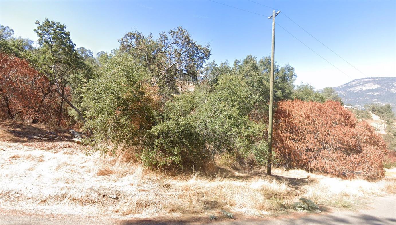 29130 Cassandra Road Tollhouse, CA 93667 - Photo 2 of 5 a view of a yard with a tree