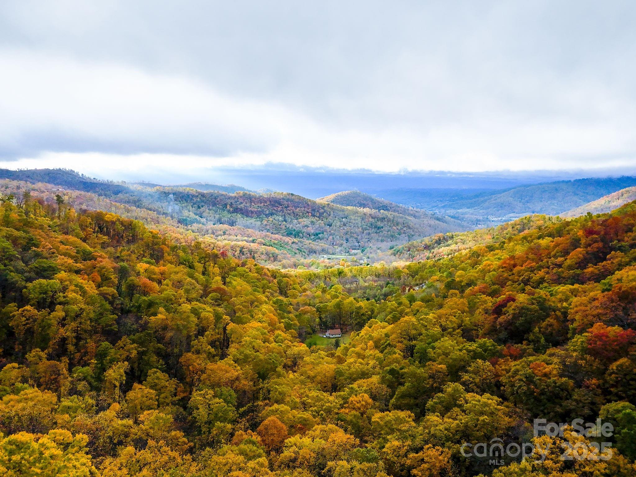 0 Ox Creek Road Weaverville, NC 28787 - Photo 1 of 7 a view of an ocean