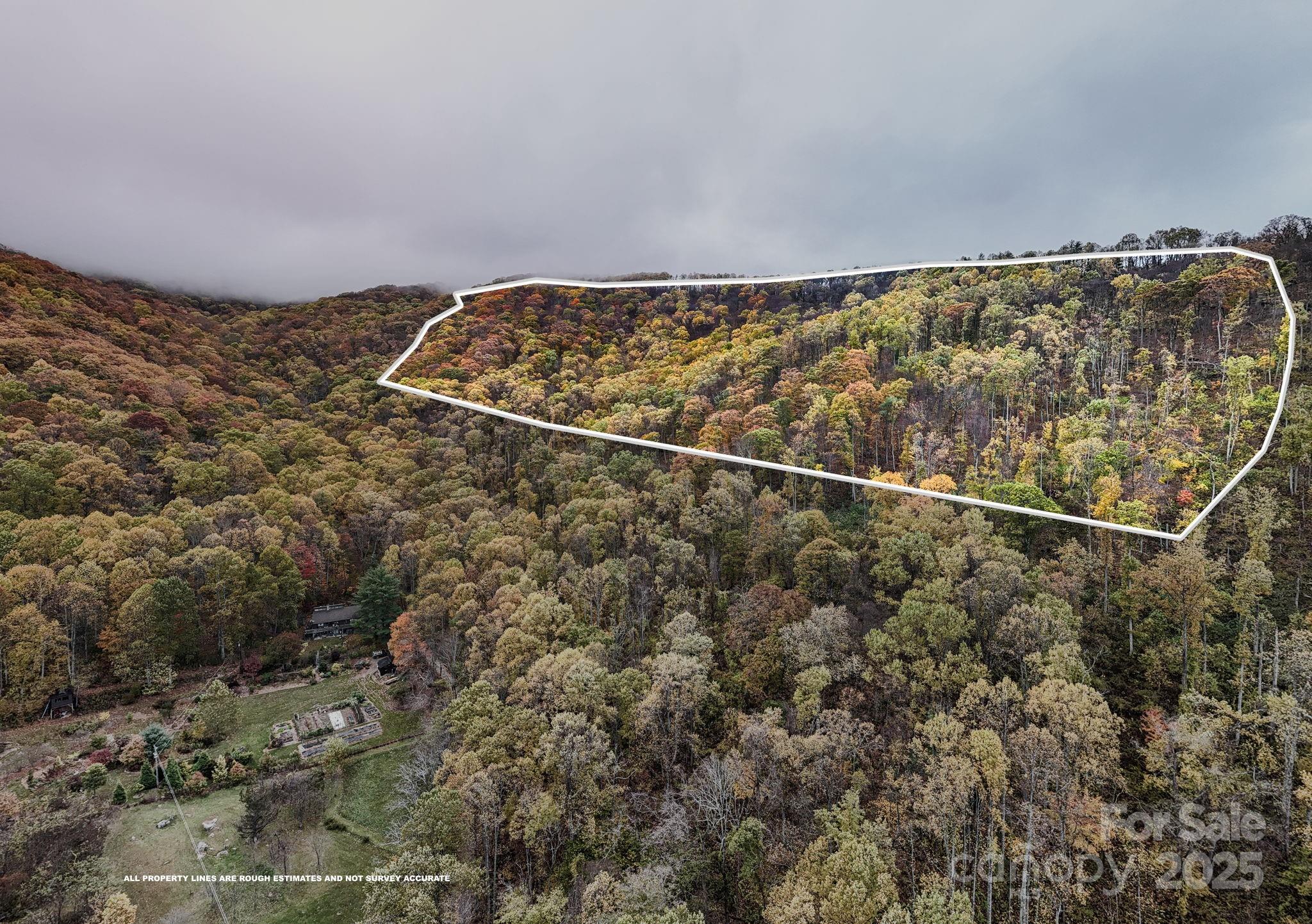 0 Ox Creek Road Weaverville, NC 28787 - Photo 2 of 7