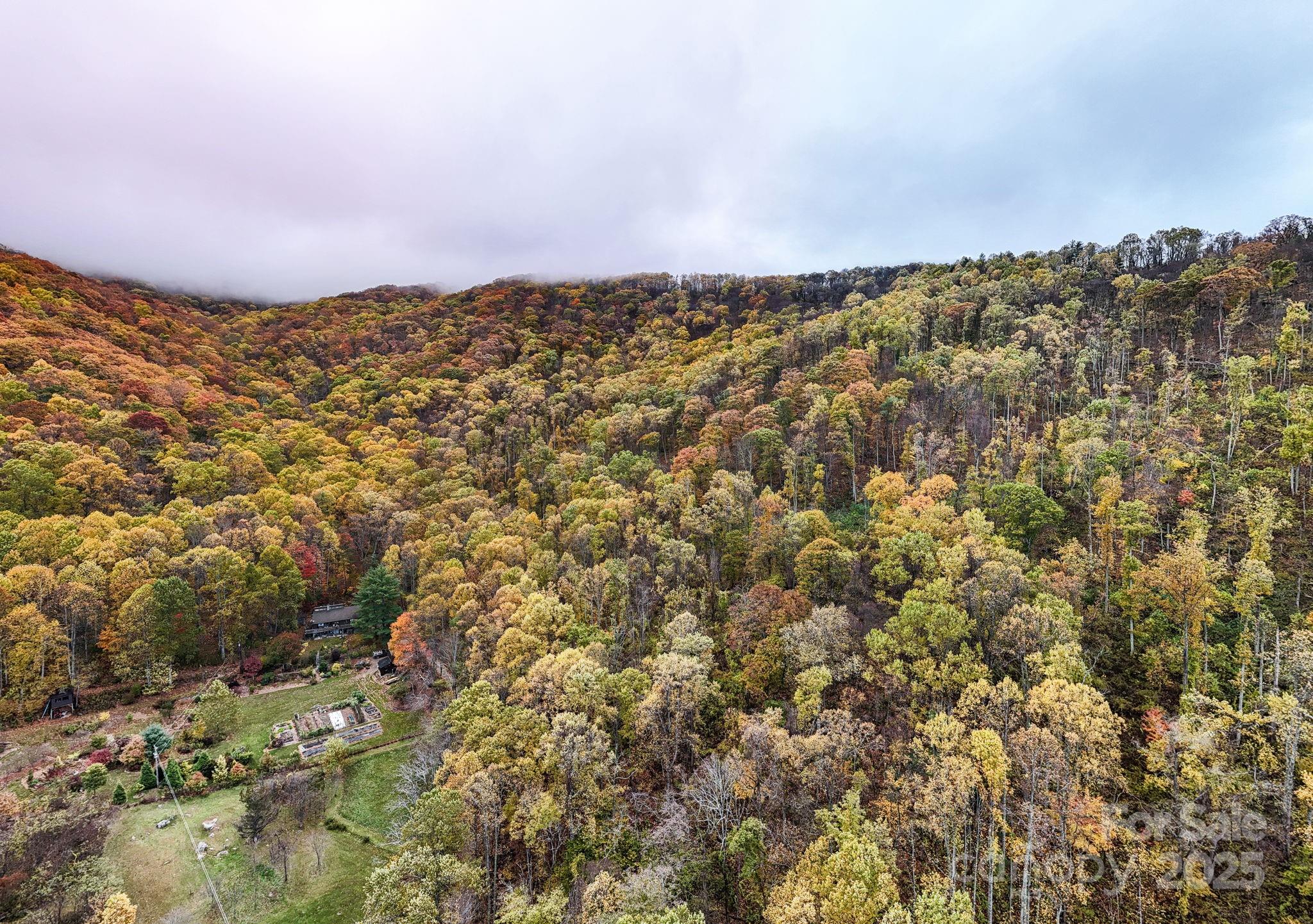 0 Ox Creek Road Weaverville, NC 28787 - Photo 3 of 7