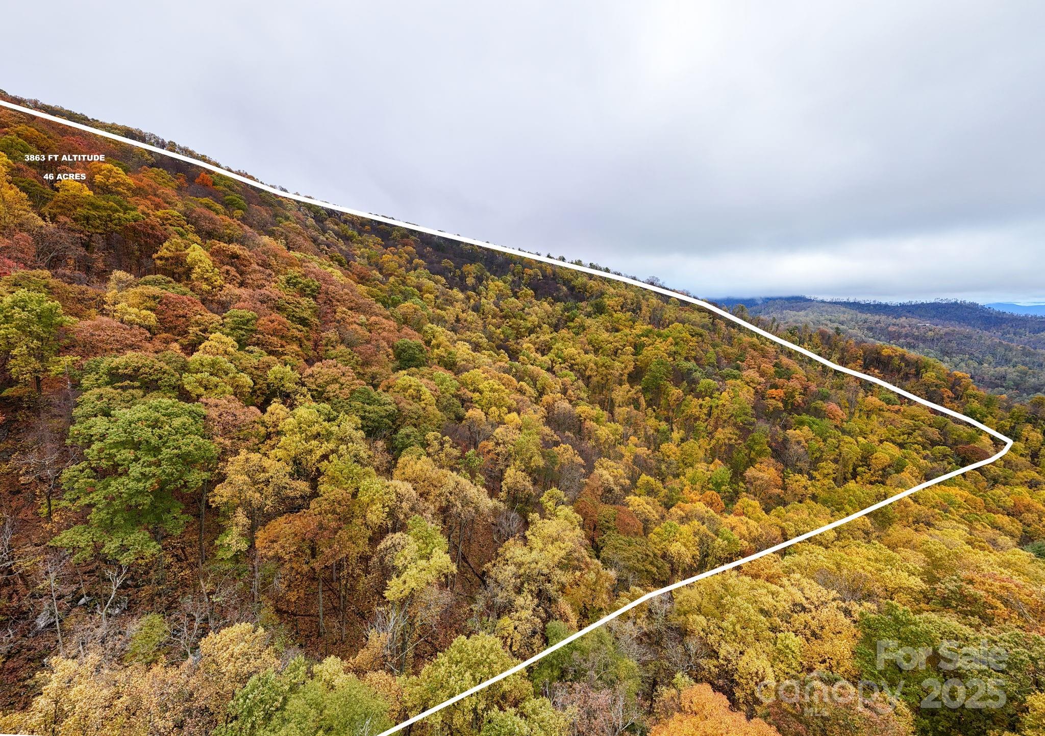 0 Ox Creek Road Weaverville, NC 28787 - Photo 4 of 7