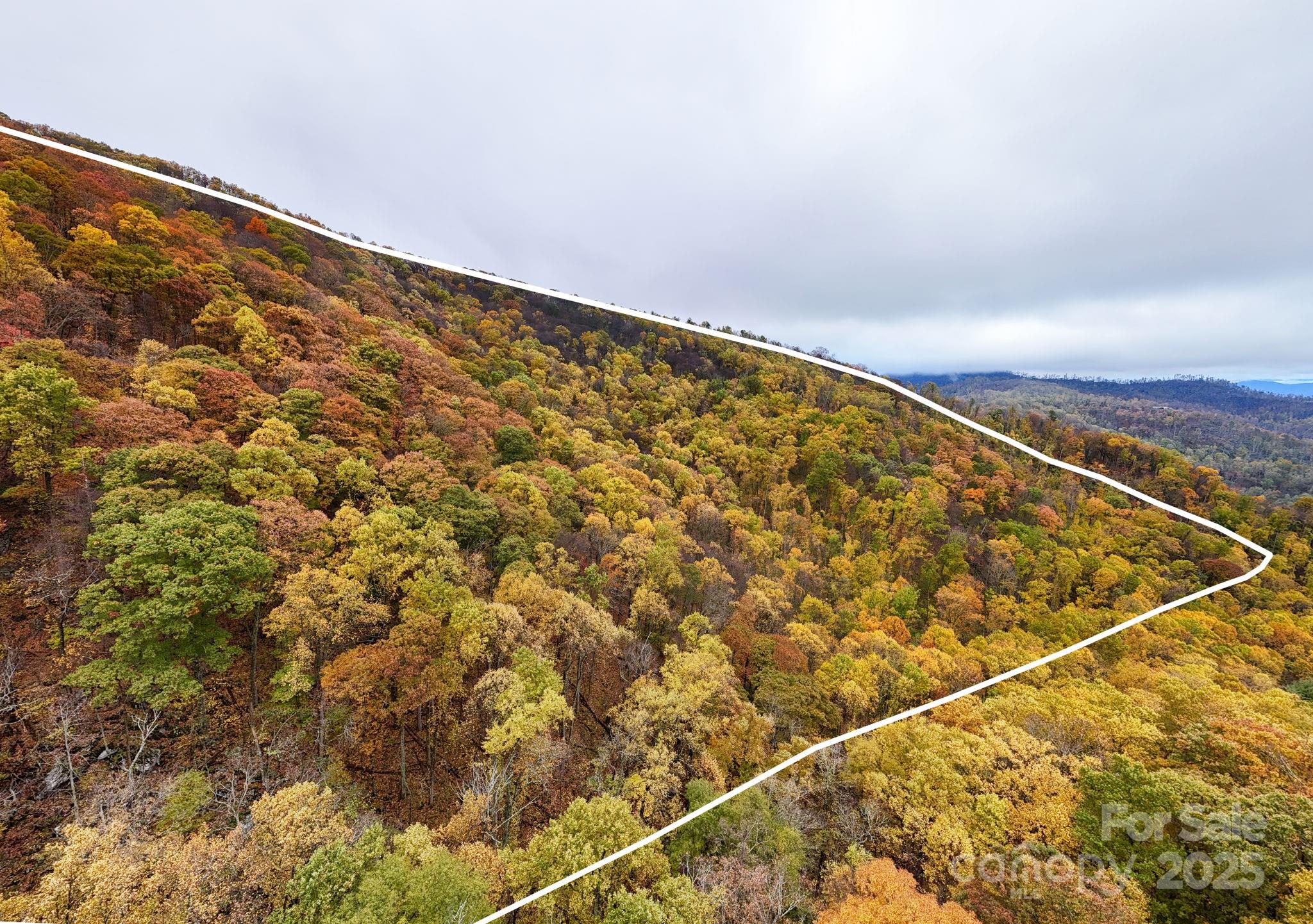 0 Ox Creek Road Weaverville, NC 28787 - Photo 5 of 7