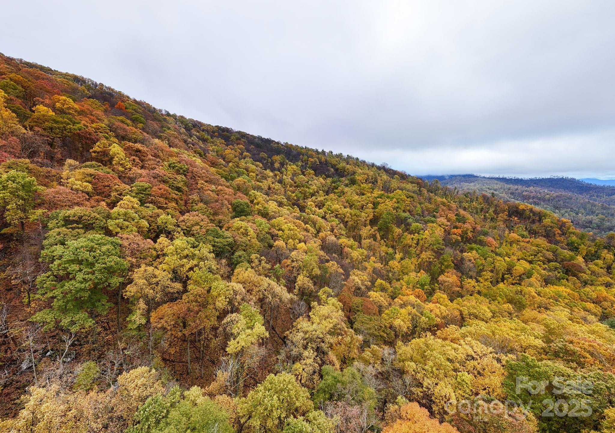 0 Ox Creek Road Weaverville, NC 28787 - Photo 6 of 7 a view of an empty room